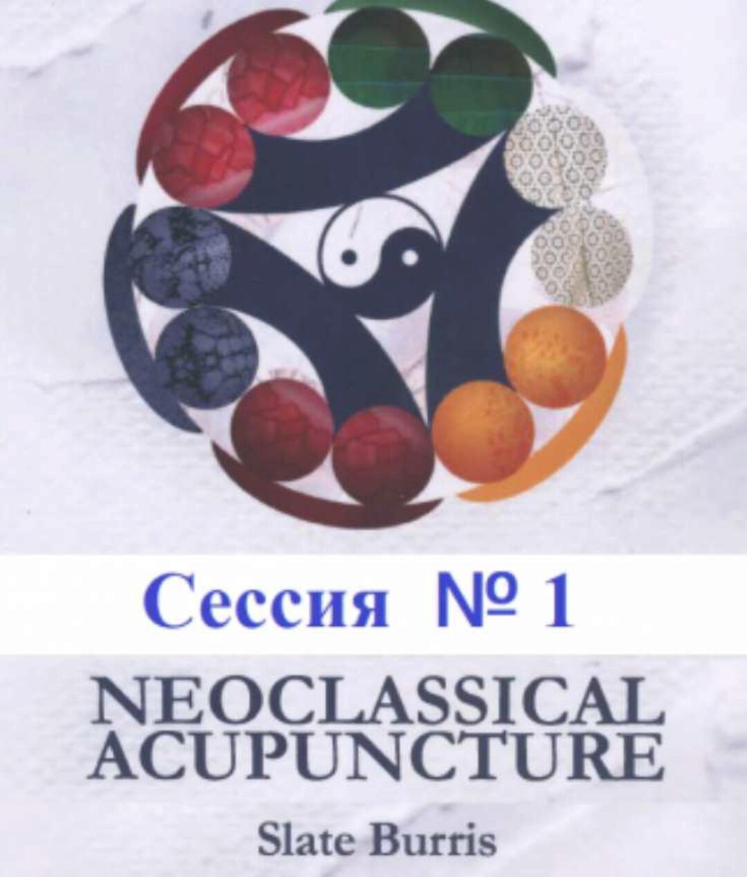 Неоклассическая Акупунктура. Сессии №1 (группа 5) (Слейт Буррис)