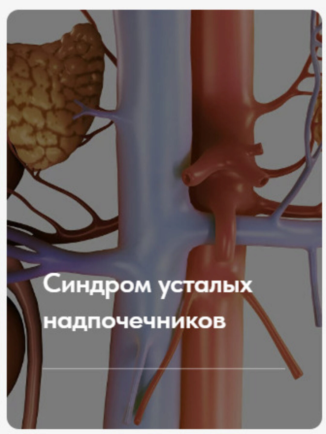 Лечебный протокол Синдром усталых надпочечников. Тариф без обратной связи (Елена Ержанова)