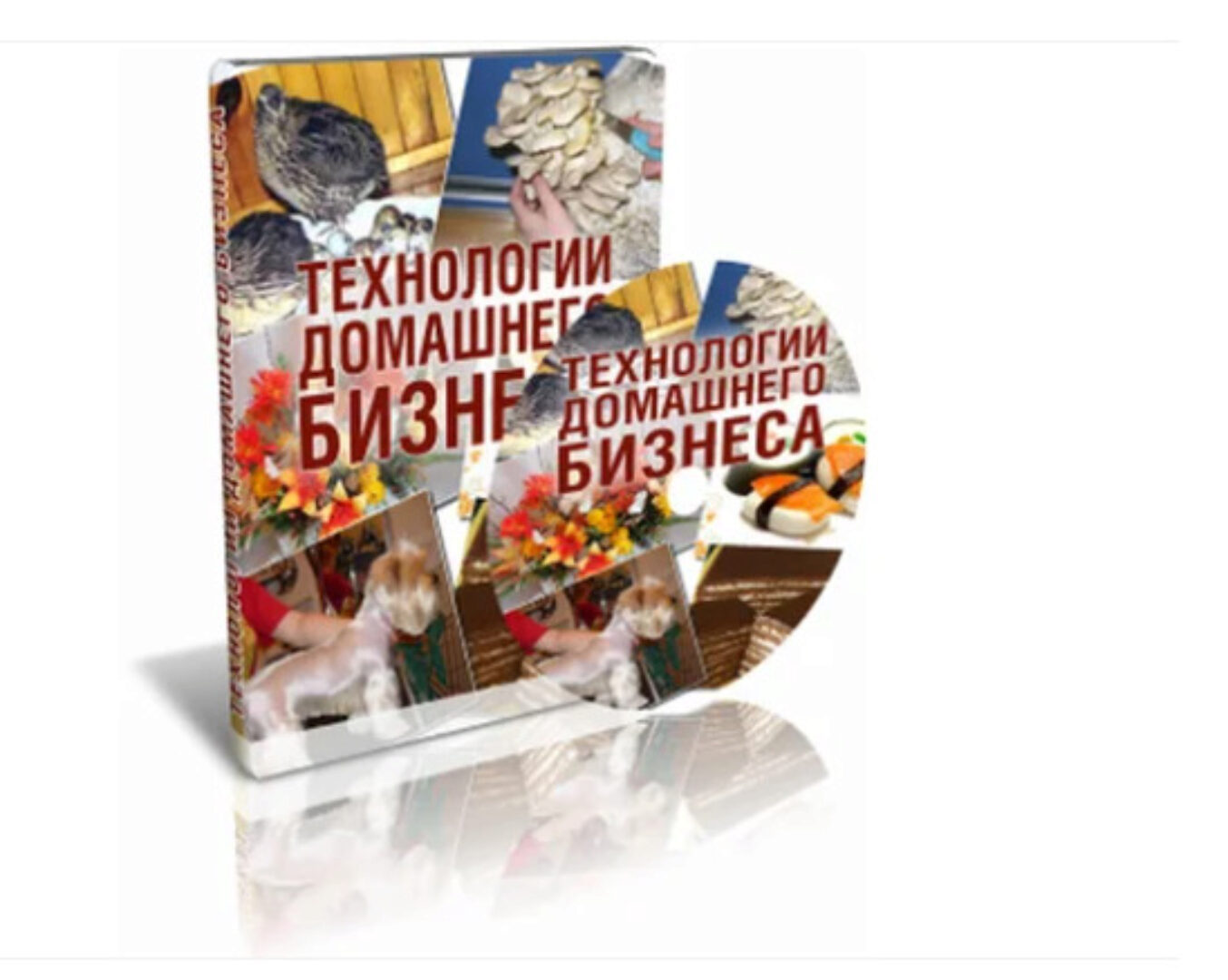 Технологии домашнего бизнеса (Сергей Васильев)