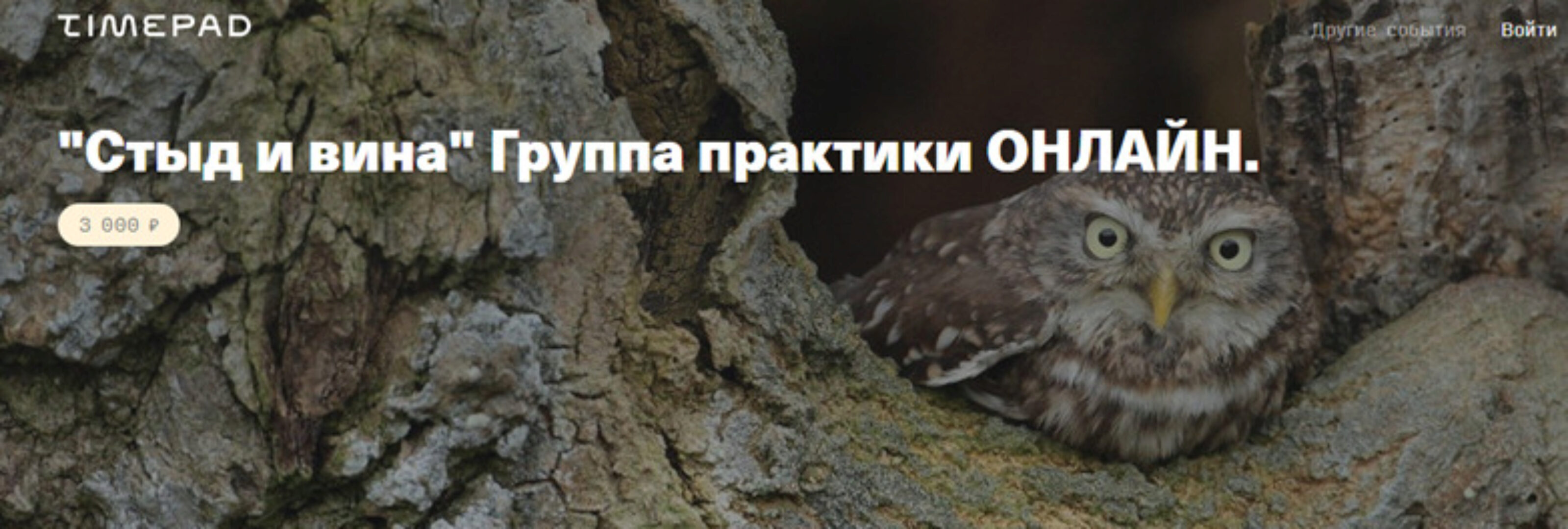 [Timepad] Стыд и вина. Группа практики онлайн (Елена Веселаго)