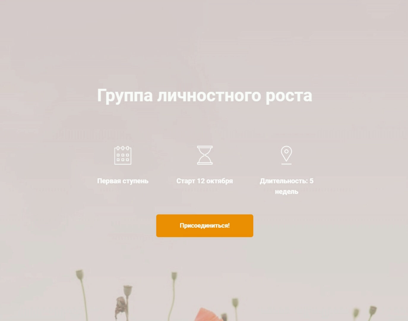 Группа личностного роста (Ольга Каминская)