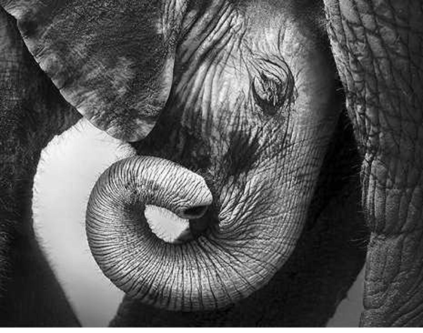 [Высшая школа психологии] Интегральный подход психологической работы с травмой развития. Раздел 2 (Анастасия Дивеева, Андрей Евдокимов)