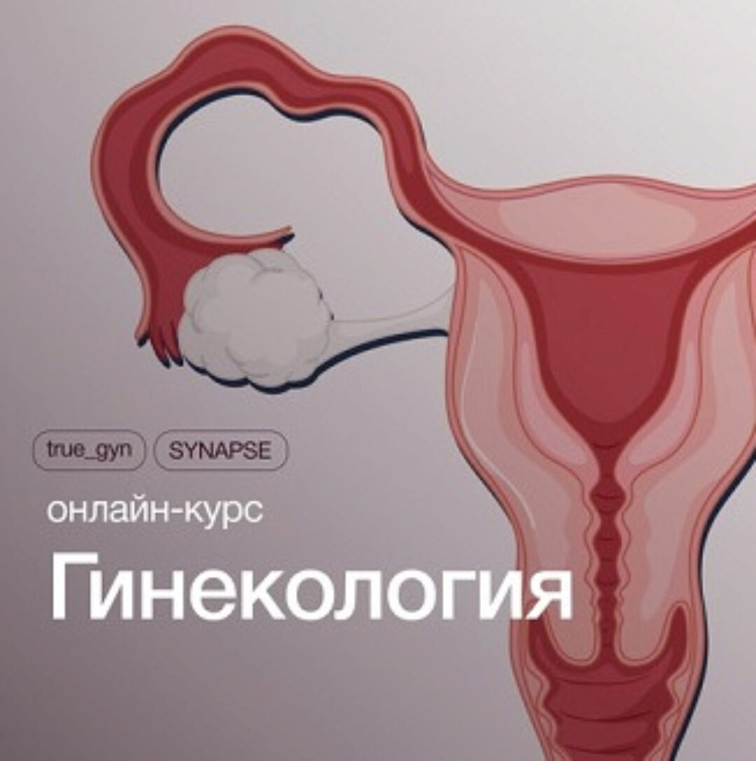 Гинекология (Лела Джохадзе, Павел Кузнецов, Ирина Лапина, Инга Горелова)