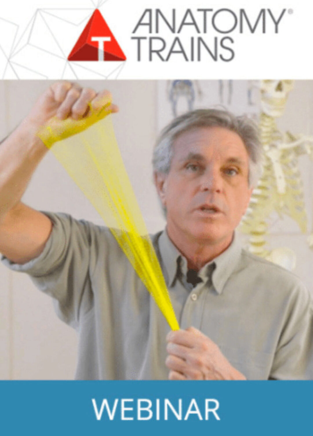 Фасция в движении (Том Маерс)