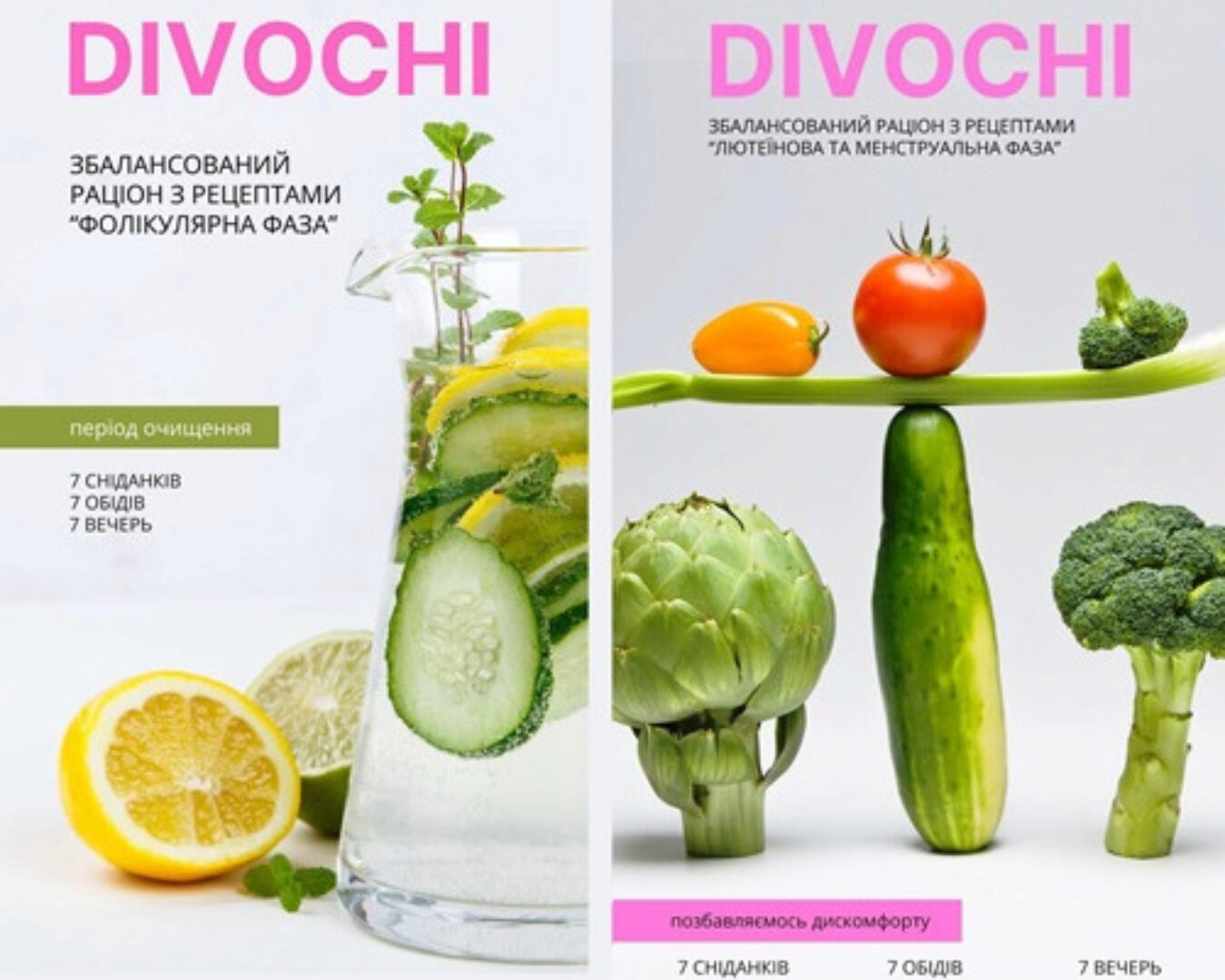 Меню за месячным циклом женщины (Наталия Самойленко)