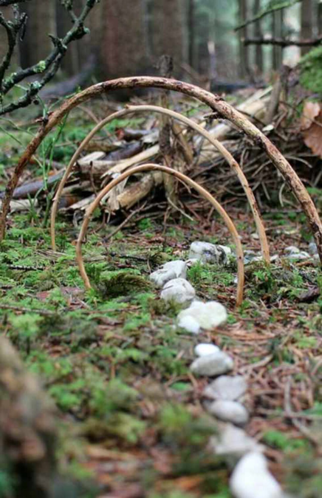 Активация Шамана (Ледивулф)