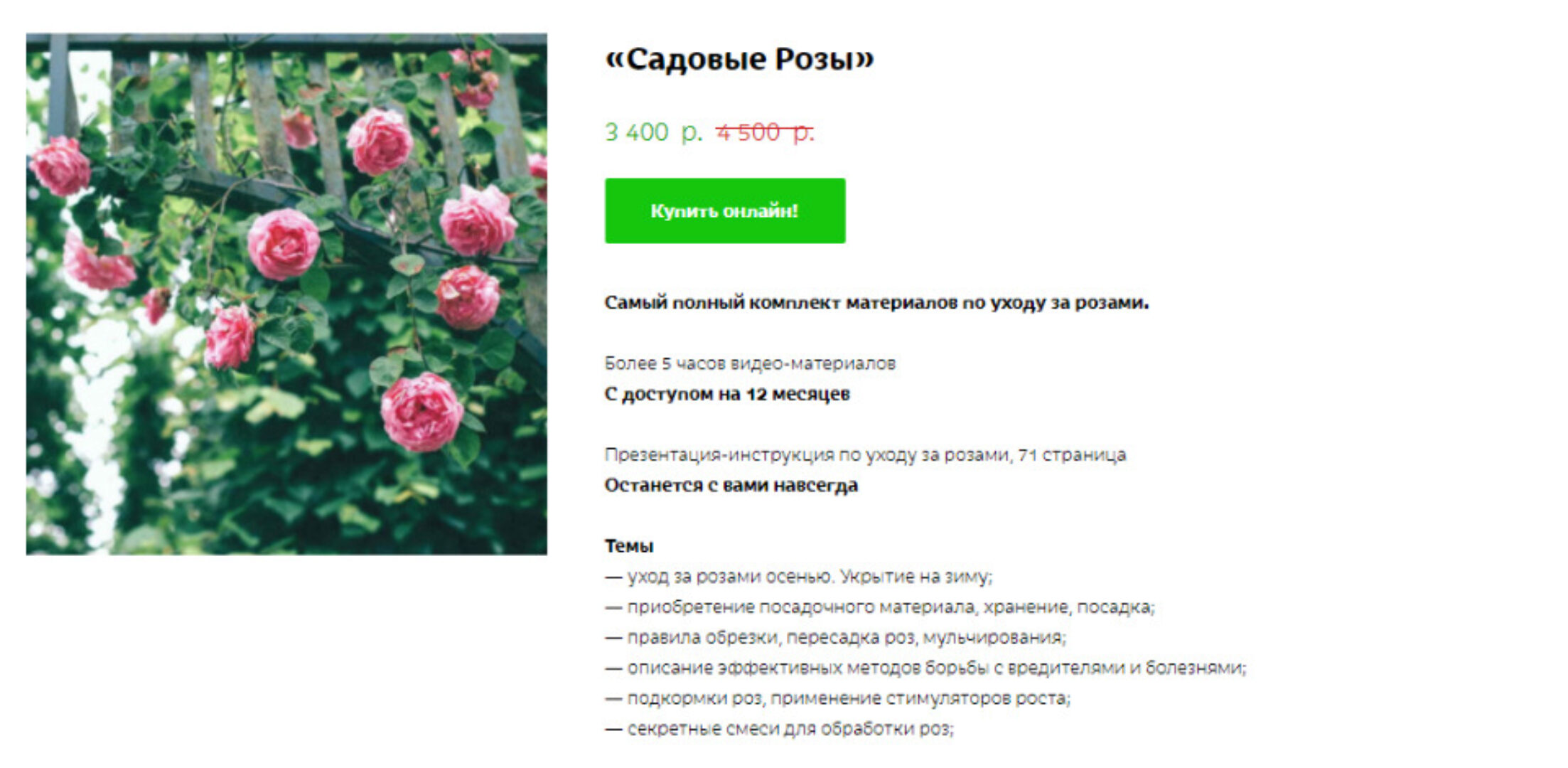 Садовые Розы (Кристианна Виниченко)