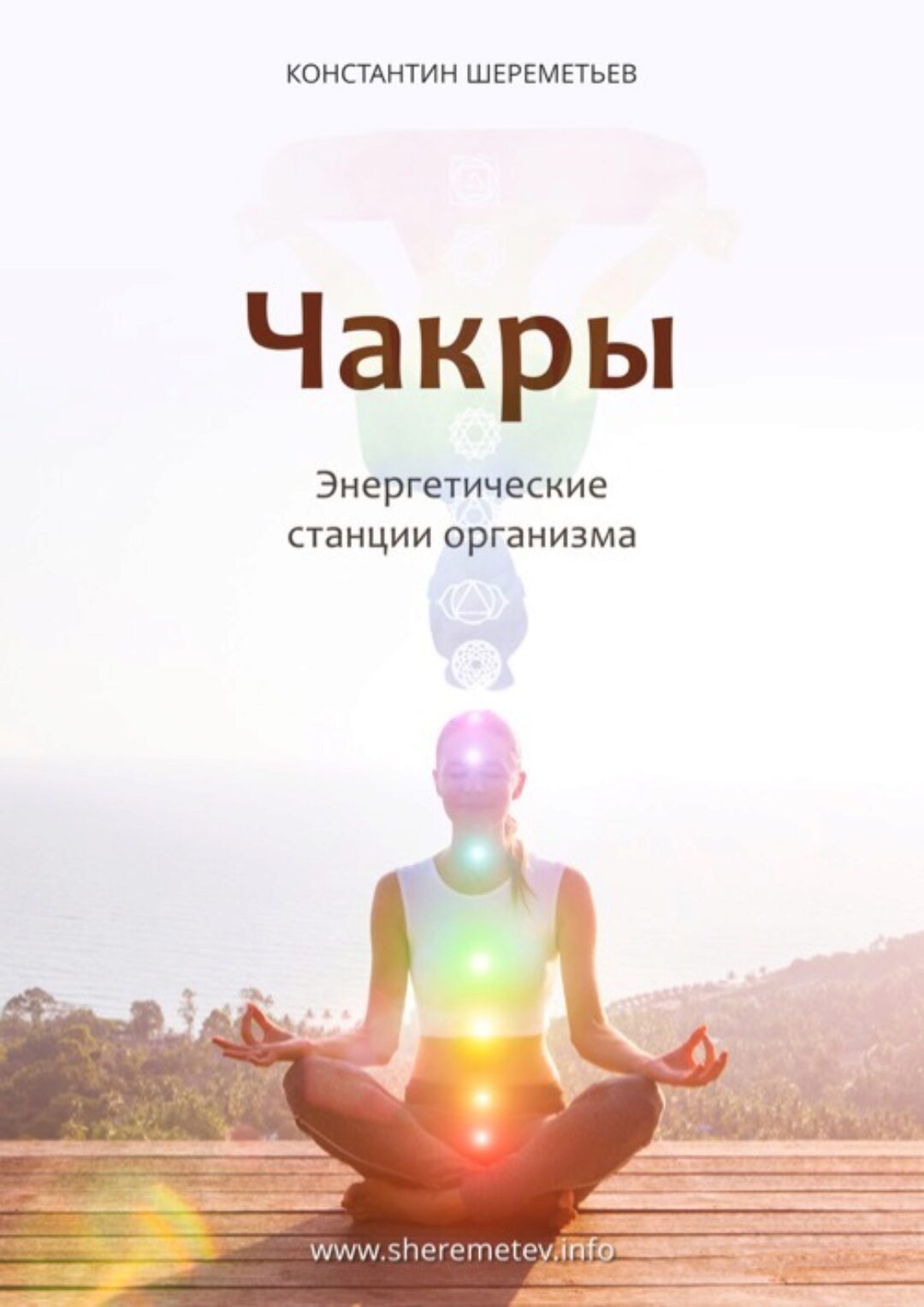 [Интеллектика] Чакры. Энергетические станции организма  (Константин Шереметьев)