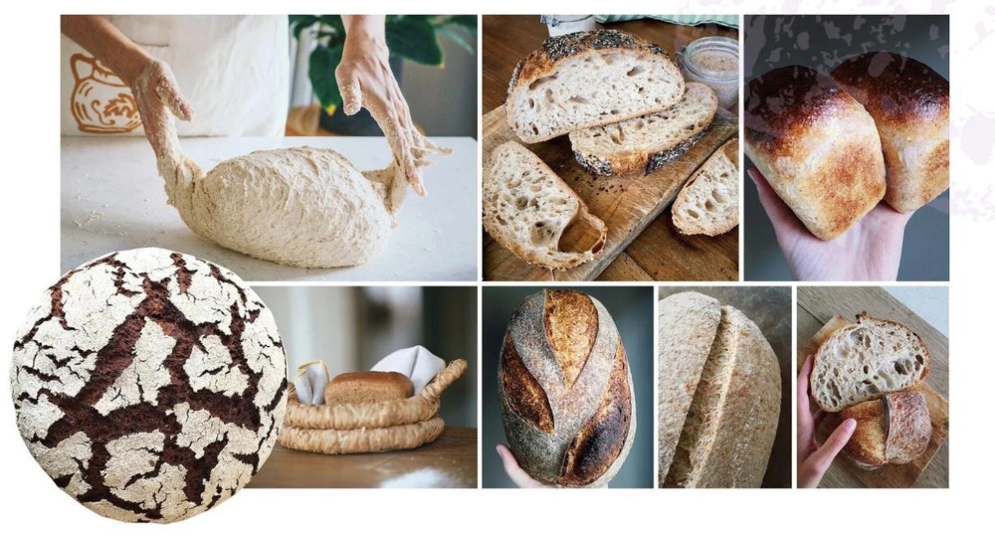 [Oh my Bread] Профессиональное обучение хлебопечению. Полный курс Oh my Bread (Анна Кучкина)