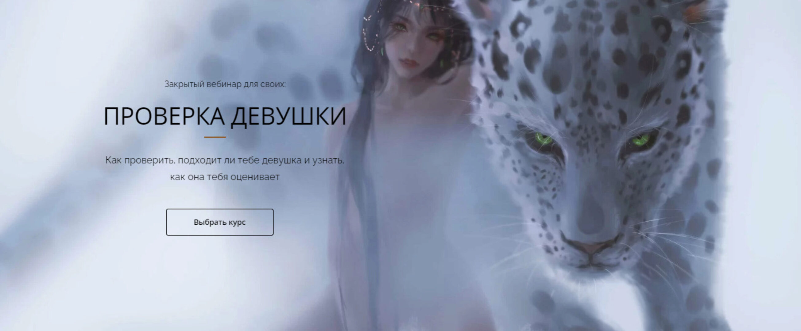 Проверка девушки. Тариф  Premium (Владимир Голиян)