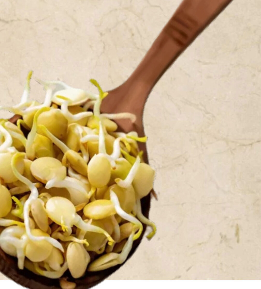 Online - практикум Проростки-челлендж. Профессионал (Ольга Зингер)