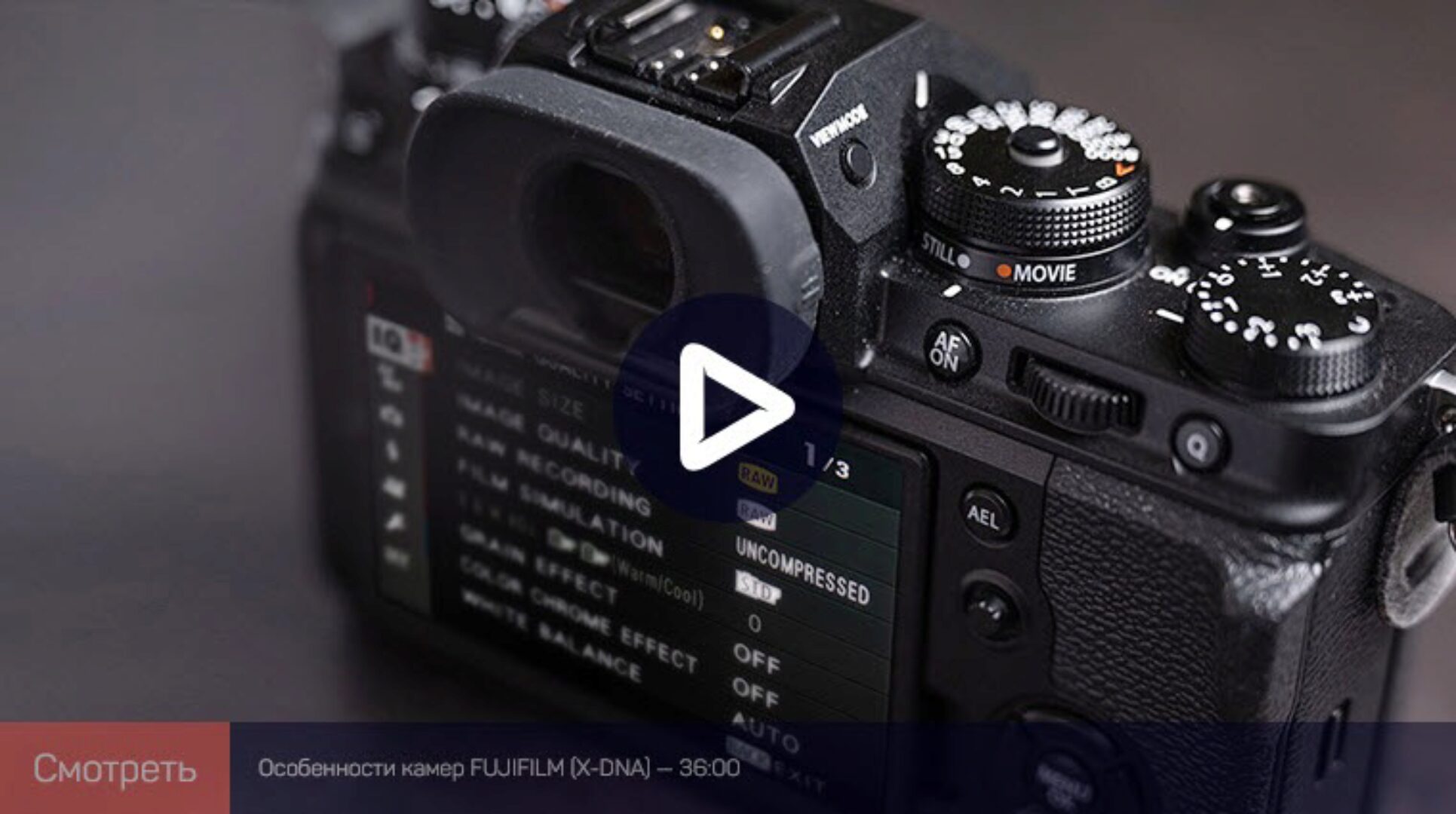 [liveclasses] Настройки фотоаппаратов Fujifilm, Версия 2021 (Антон Мартынов)