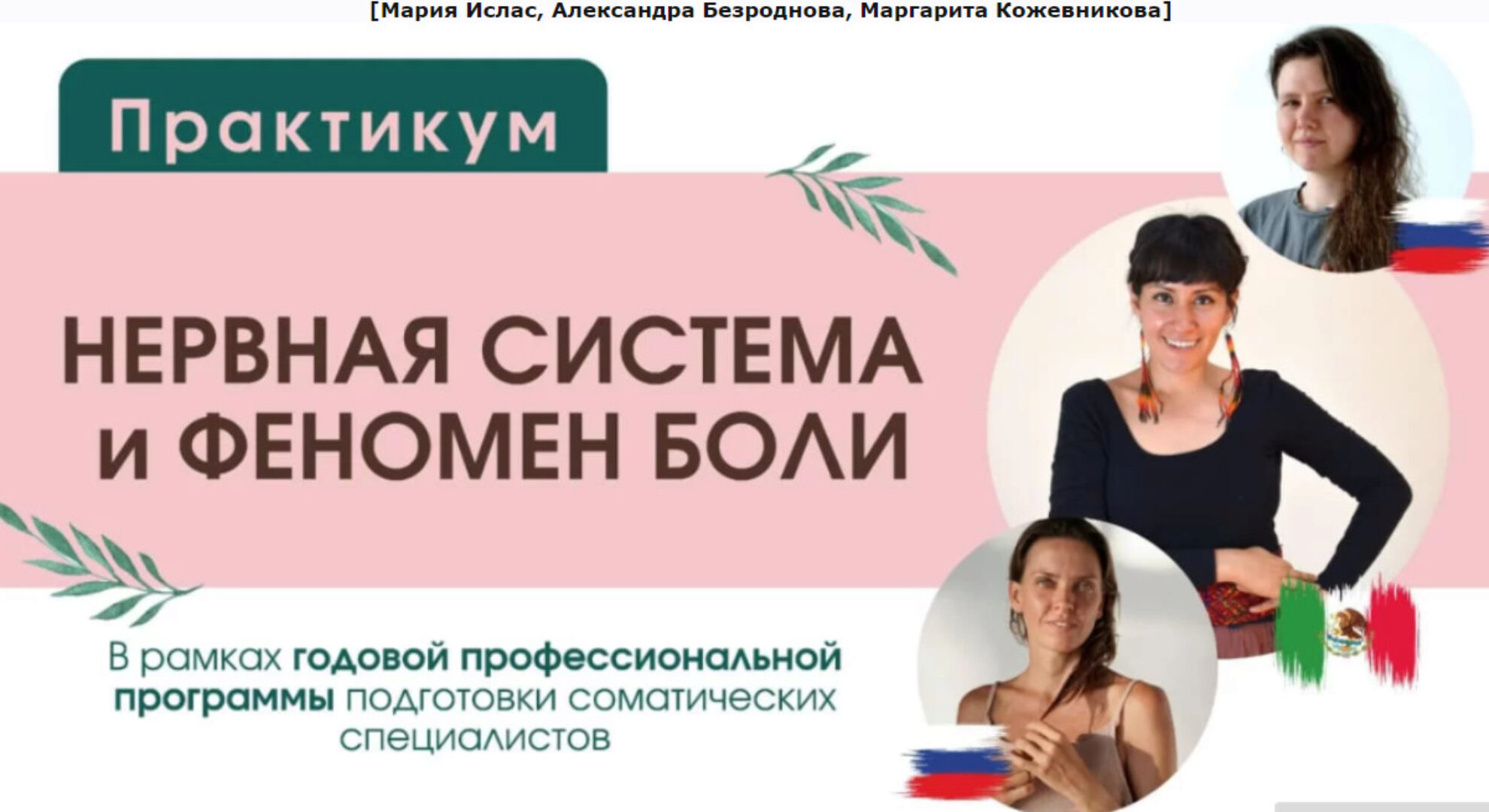 Нервная система и феномен боли (Мария Ислас, Александра Безроднова, Маргарита Кожевникова)