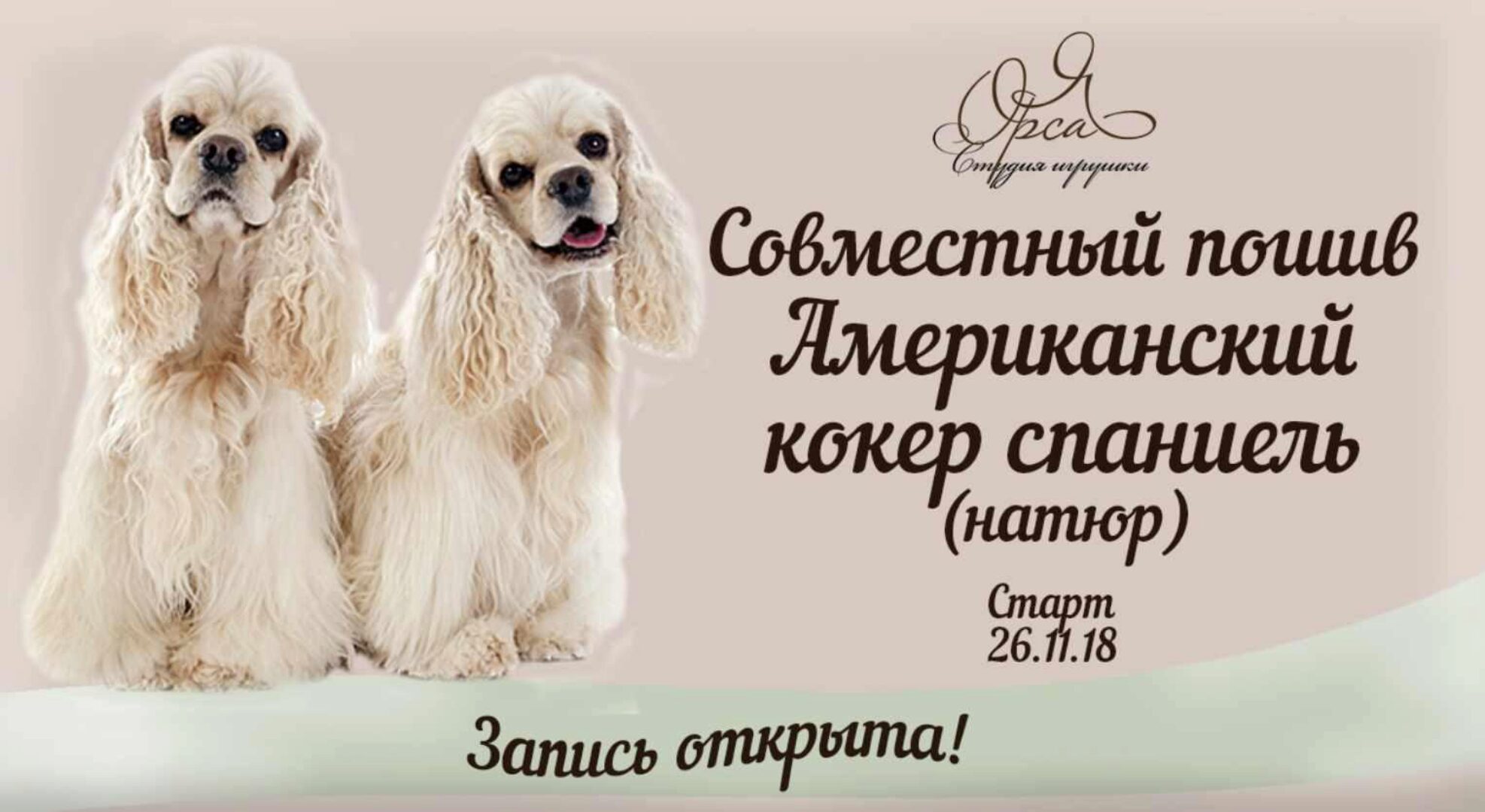 Совместный пошив «Американский кокер спаниель» (Янина Орса)