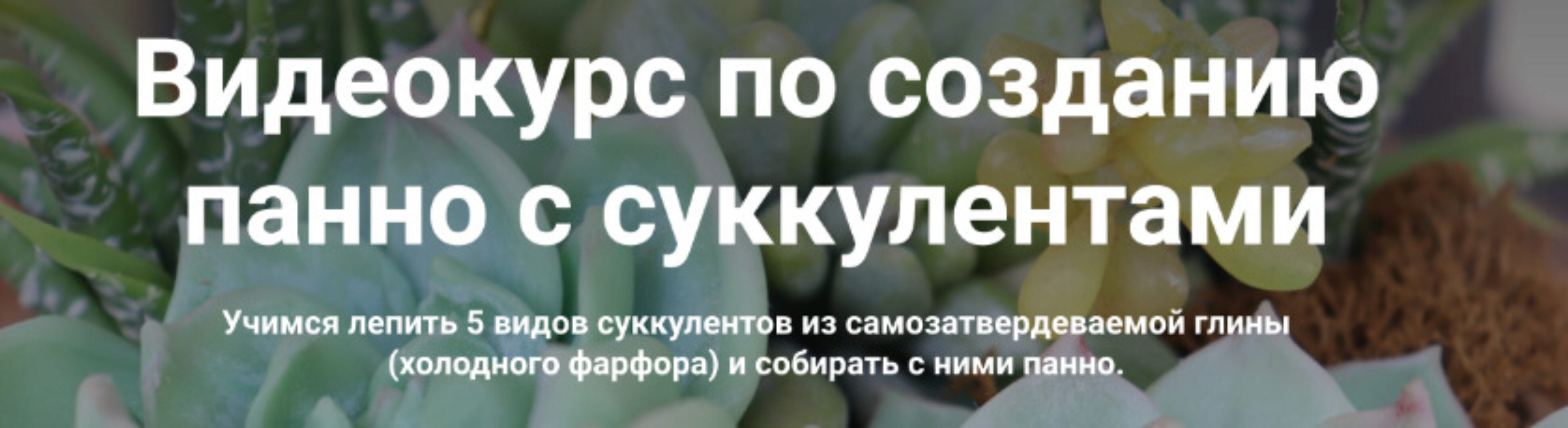 [La Florterra] Суккуленты (Любовь Мирошниченко)