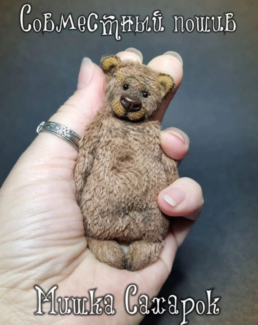 Мишка Сахарок (Ксения Костина)