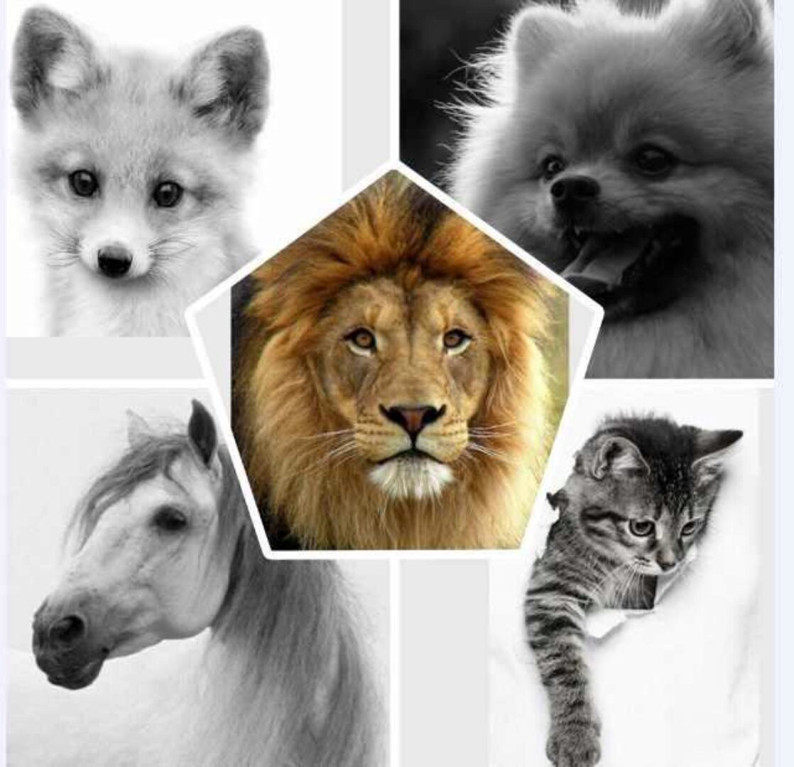 Сухая кисть. Анималистика (Виталий Антипин)