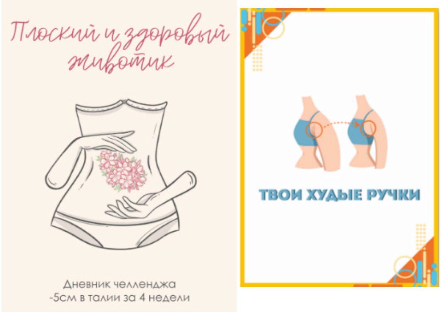 Дневник Плоский и здоровый животик + Гайд Твои худые ручки (Сабина Филина)