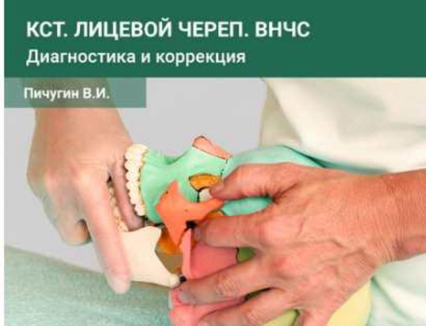 Краниосакральная система. Лицевой череп. ВНЧС. Диагностика и коррекция Семинар №2 (Вячеслав Пичугин)