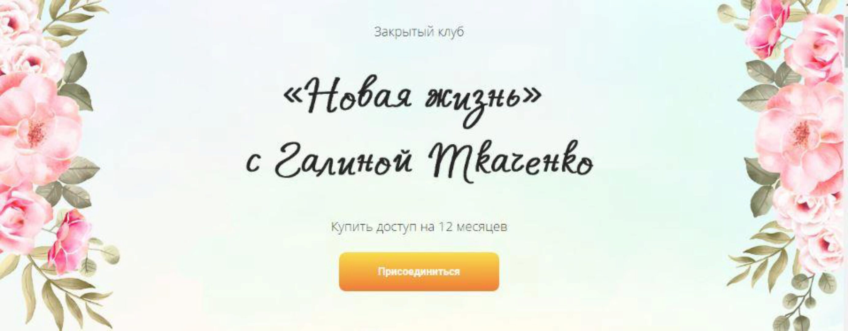 Новая жизнь (Галина Ткаченко)