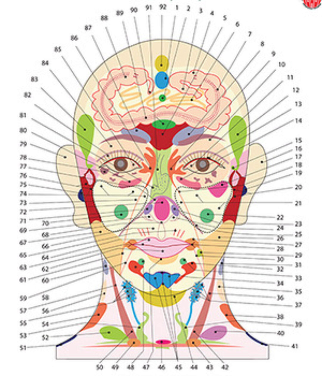 Диагностика по проекционным зонам на теле человека (Александр Огулов)