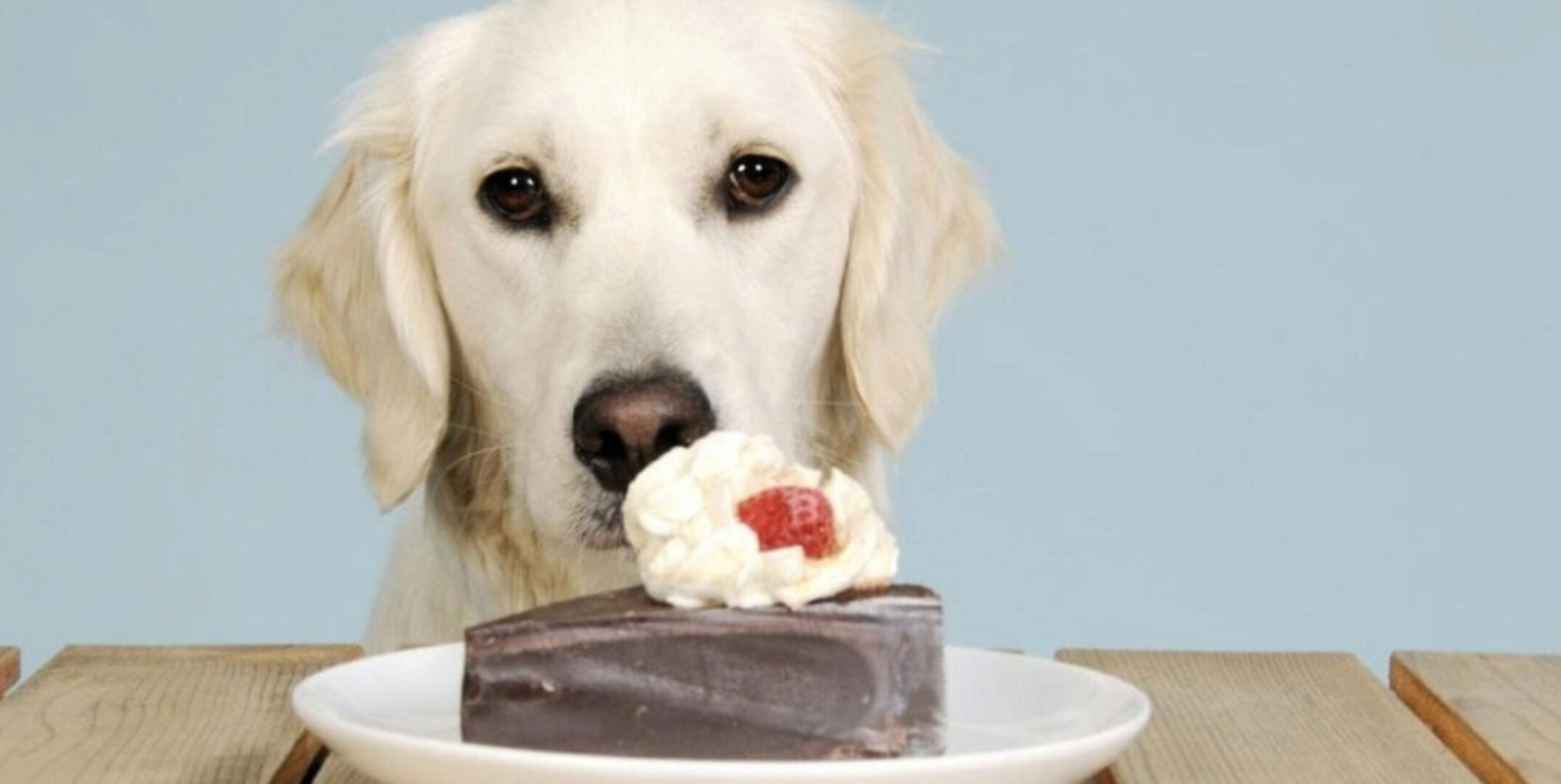 Публичная онлайн-консультация PRO мечты (Михаил Лабковский)