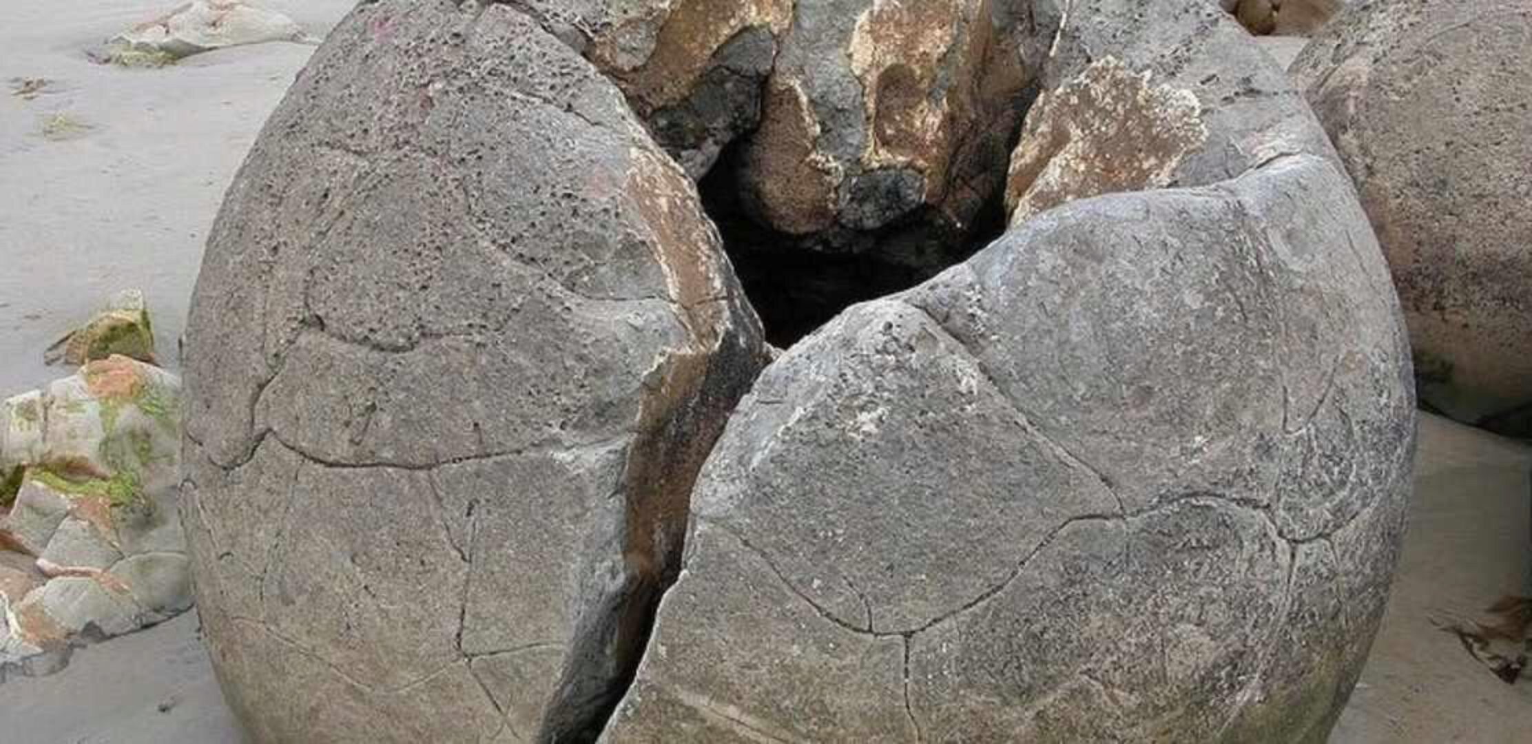 Материнская жертва (Елена Веселаго)