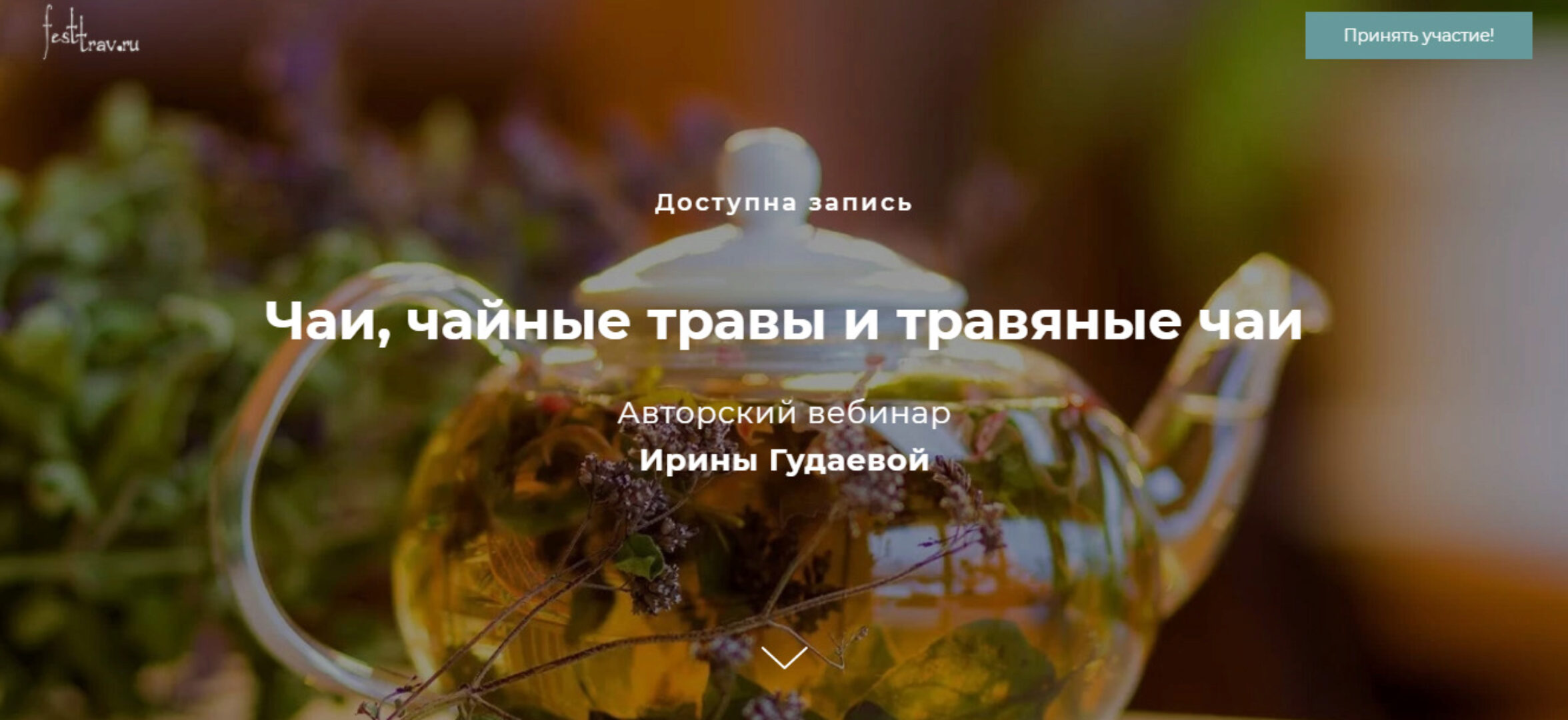 [FestTrav]  Чаи, чайные травы и травяные чаи (Ирина Гудаева)