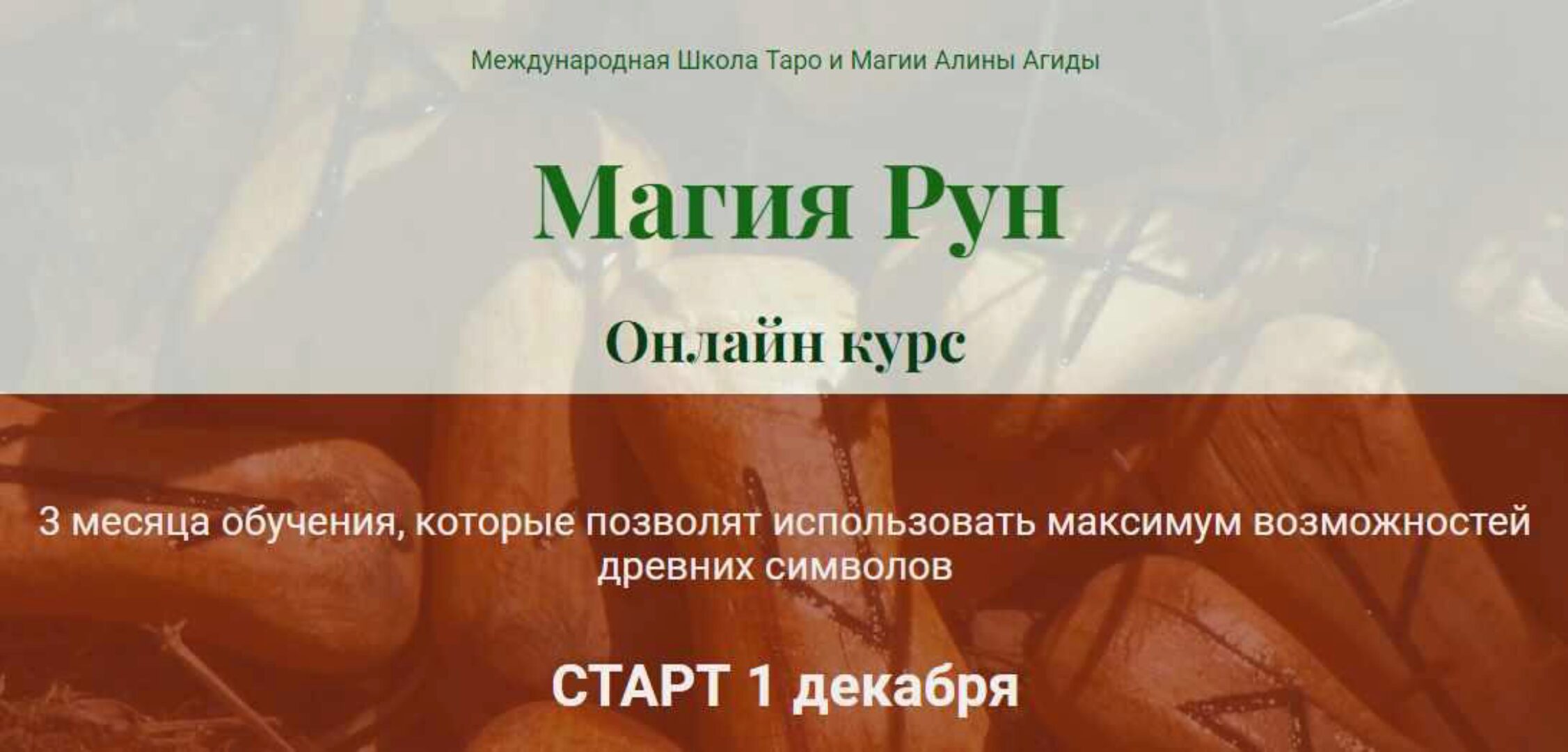 Mагия Рун. Полный курс (Алина Агида)