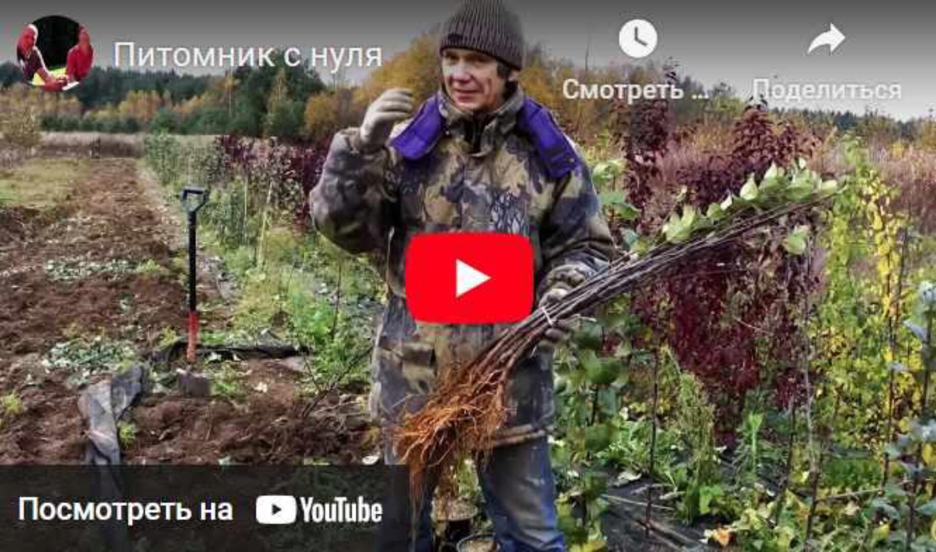 Питомник с нуля. Обновленная версия (Евгений Федотов)