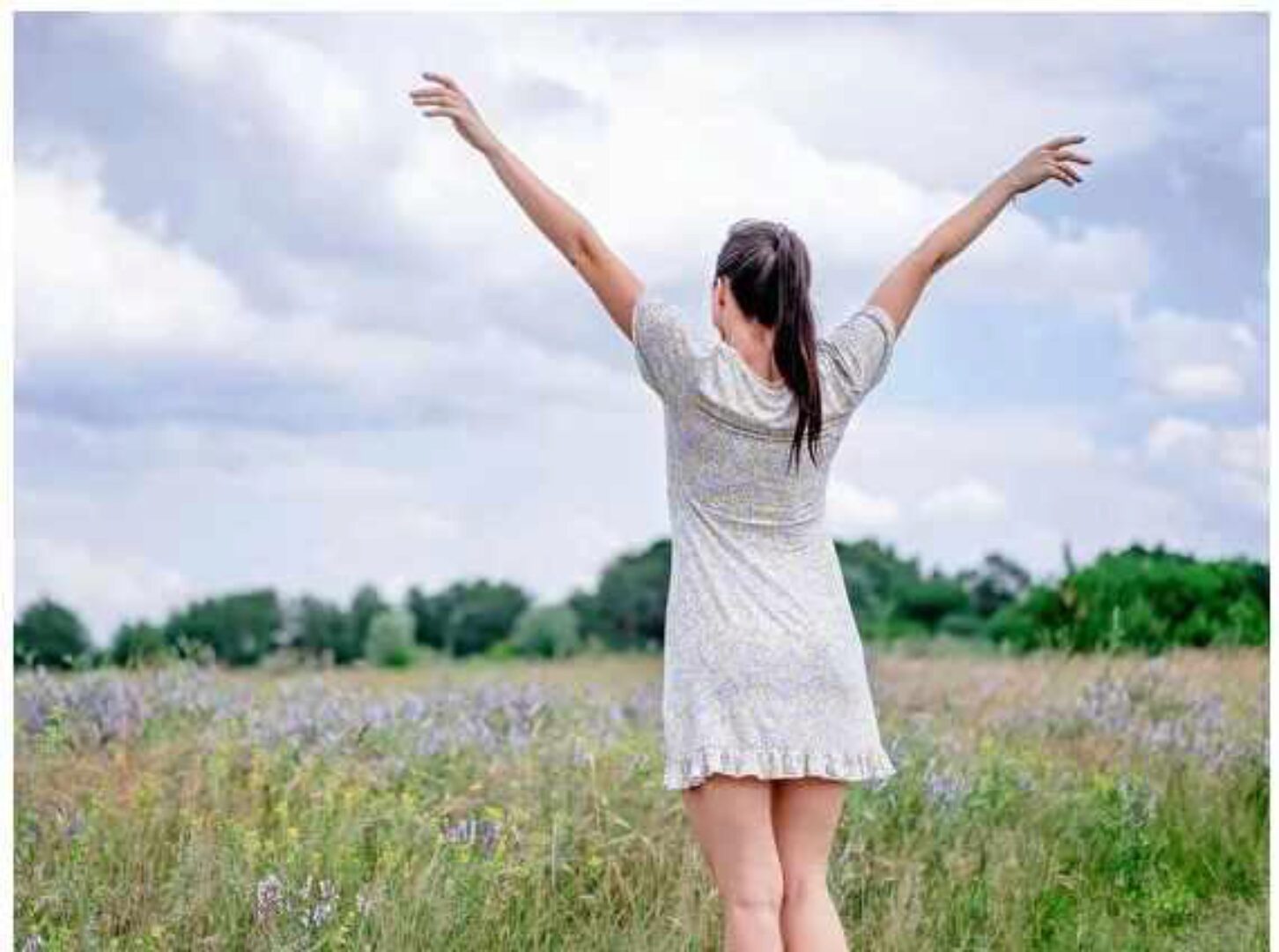 Freemotion (Сергей Ли)