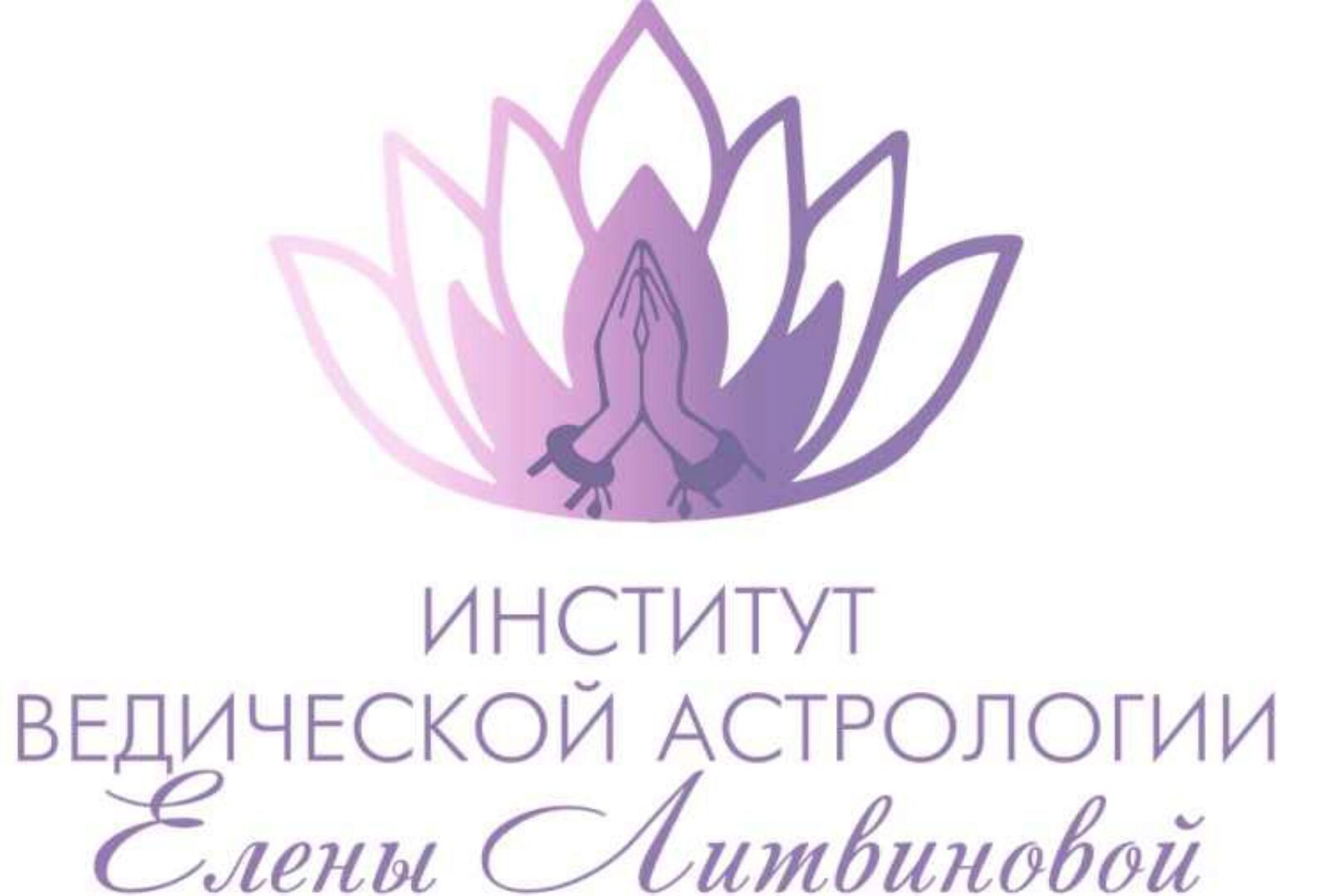 Курс «Дробные карты» (Елена Литвинова)