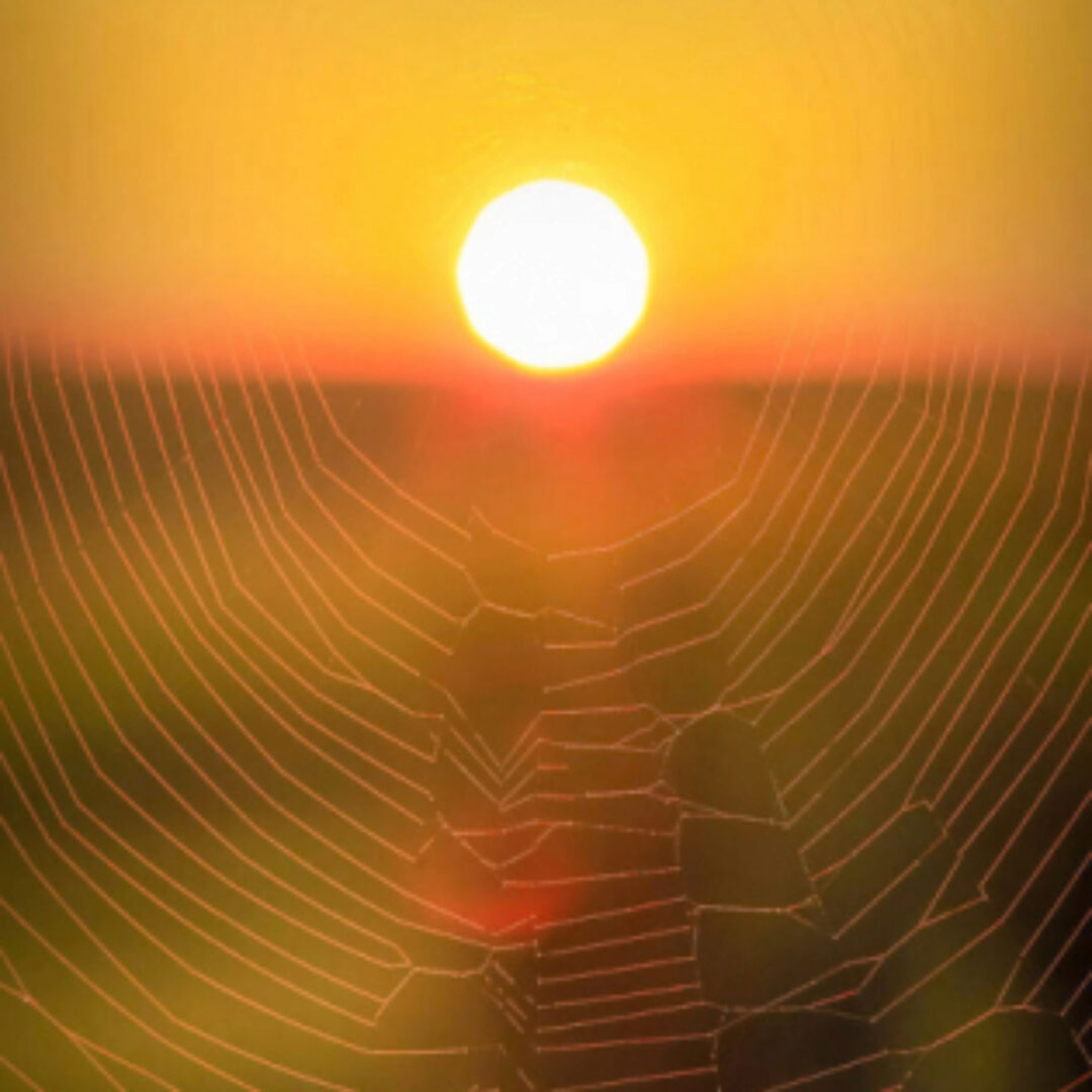 Очищение от энергетических привязок (Дмитрий Курбатов)