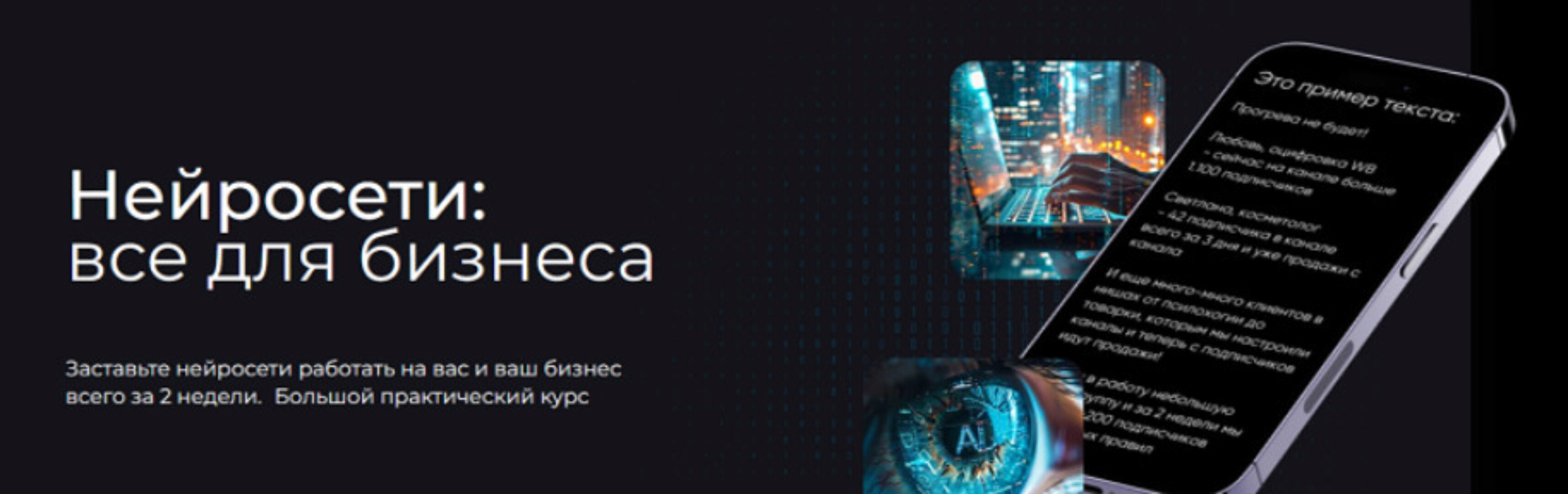 Нейросети: все для бизнеса. Тариф Я сам (Дмитрий Ледовских, Никита Архипов)