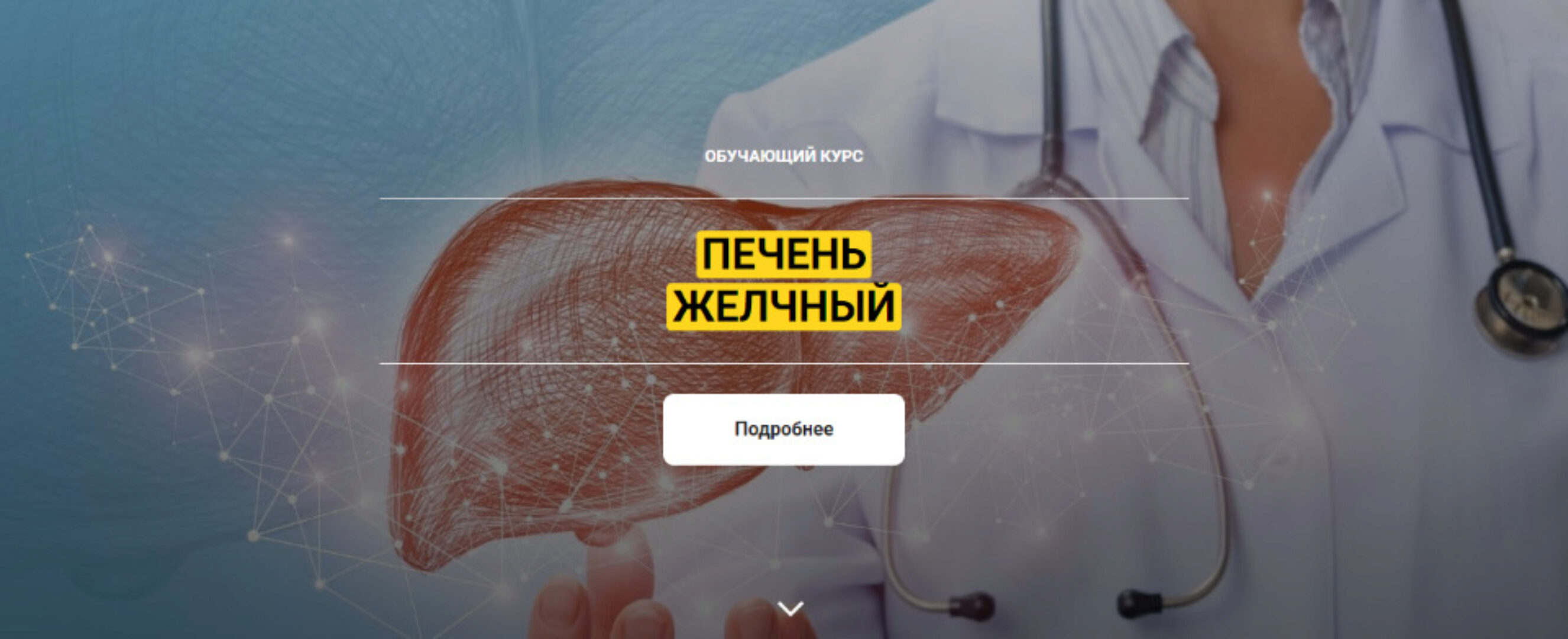 [Архитектура тела] Желчный. Печень (Оксана Бердичевская)