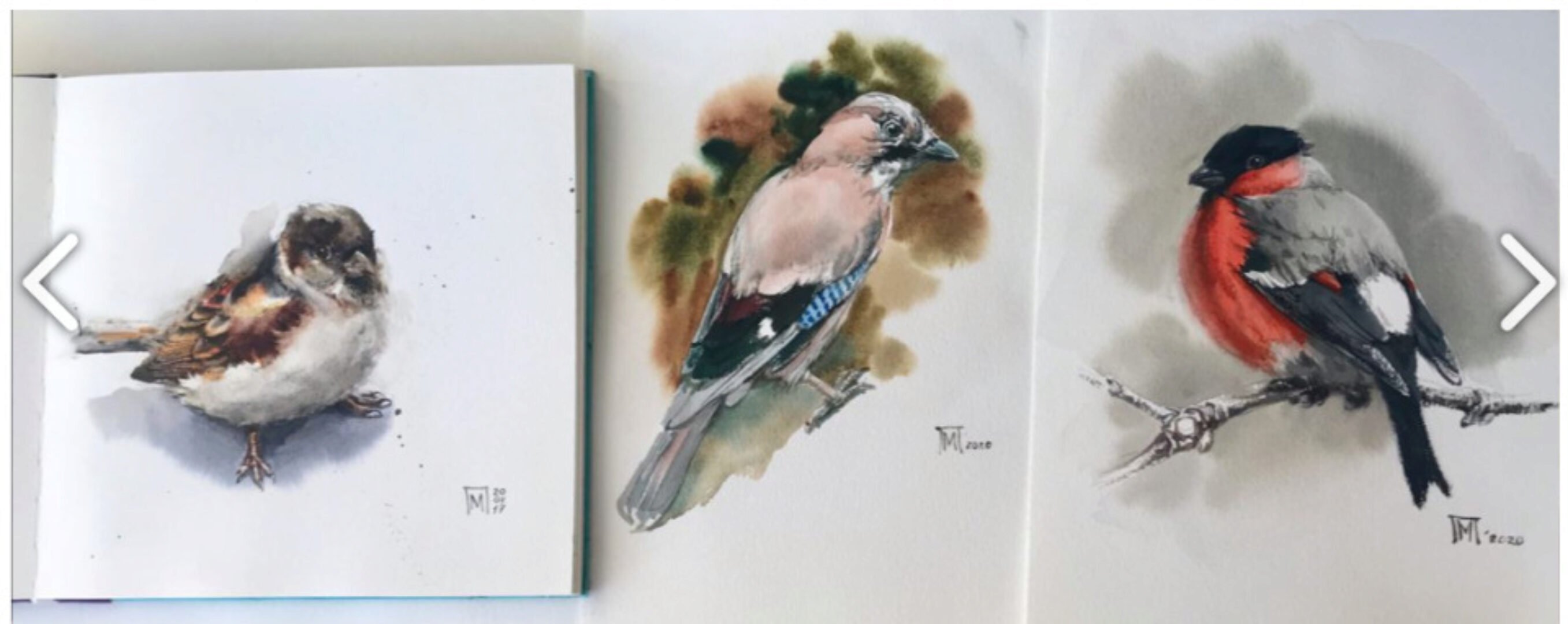 [lectoroom] Птицы акварелью (Мария Павлова)