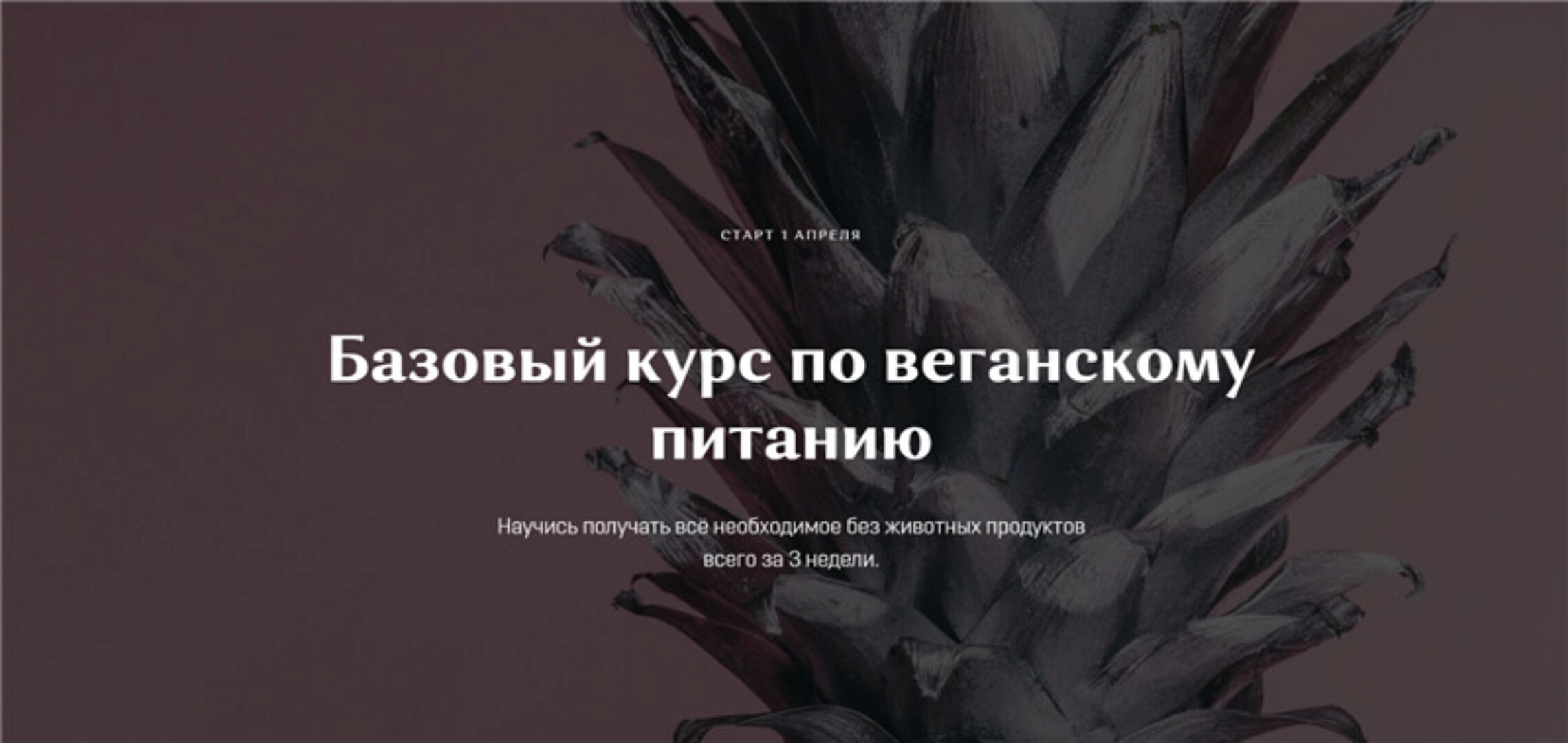 Базовый курс по веганскому питанию. Тариф - Самостоятельный (Настя Лисица)