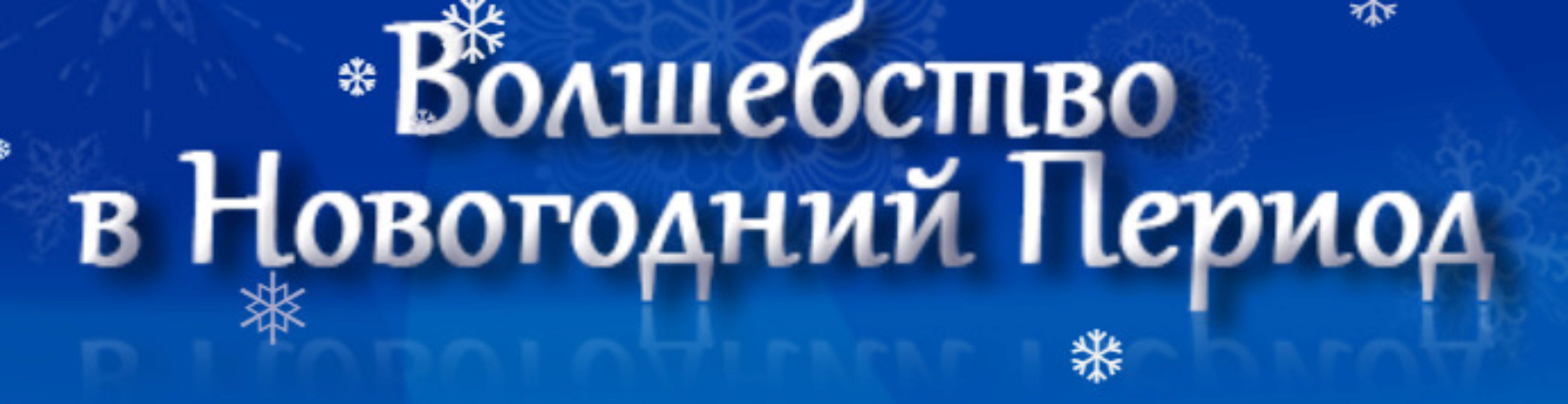 Волшебство в новогодний период (Юлия Воронина)