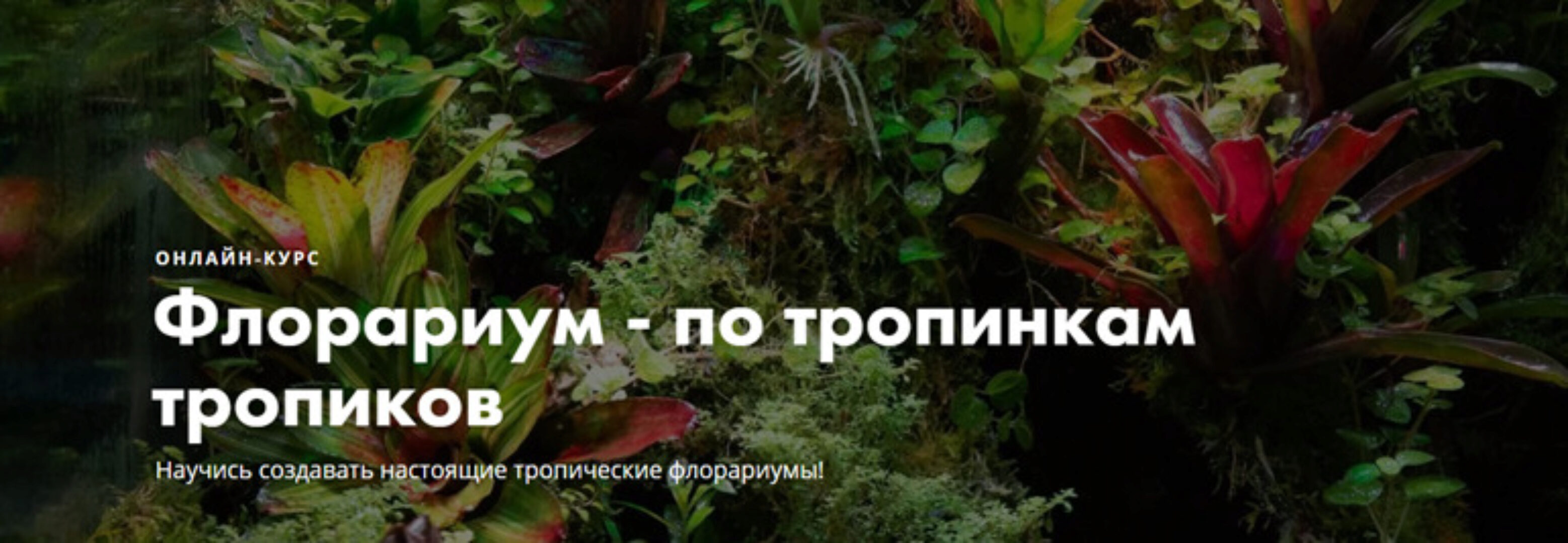 Флорариум - по тропинкам тропиков. Тариф - Групповой (Мария Короленко, Георгий Короленко)