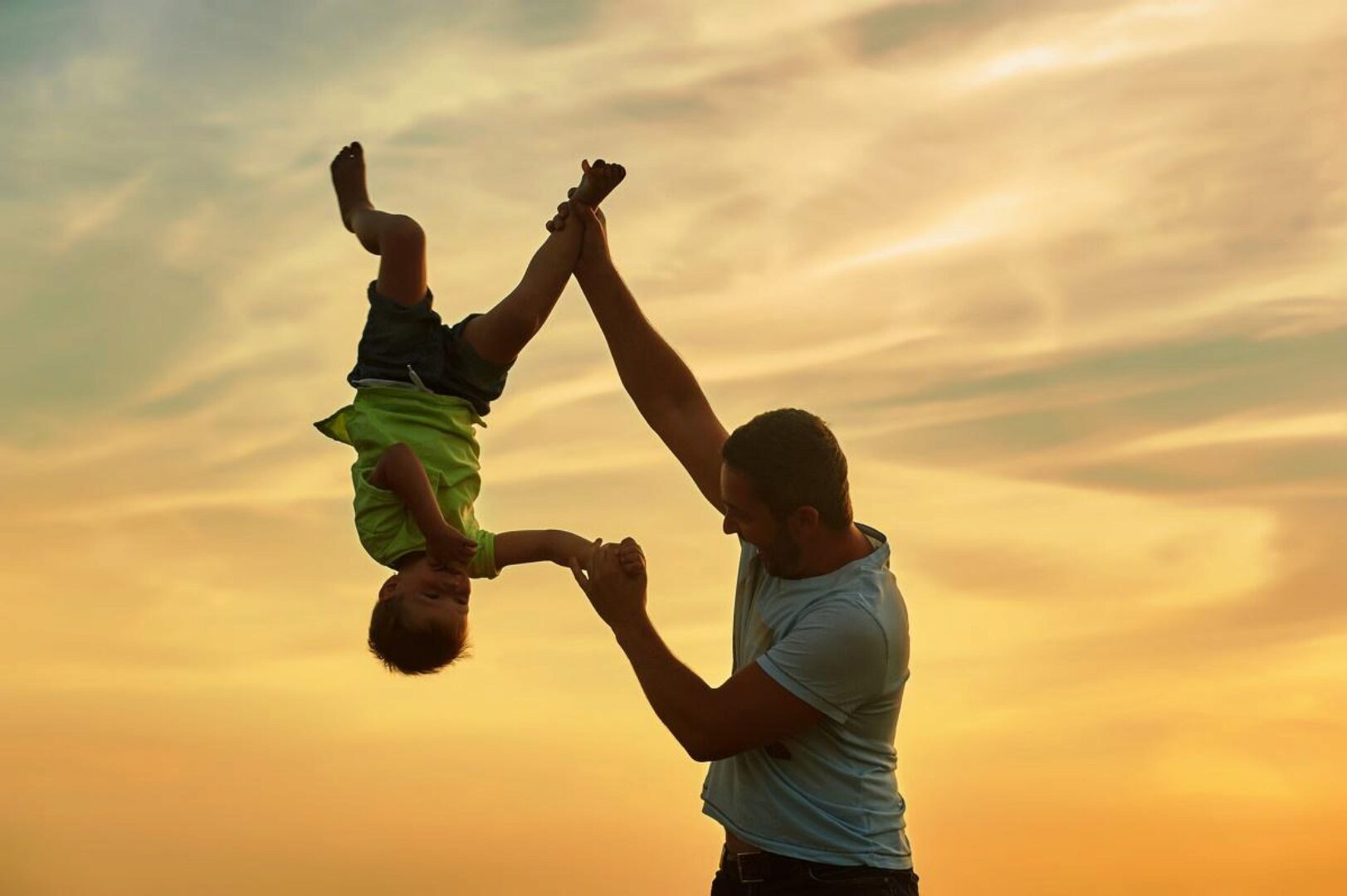 Папа. Основы и решения (Елена Веселаго)