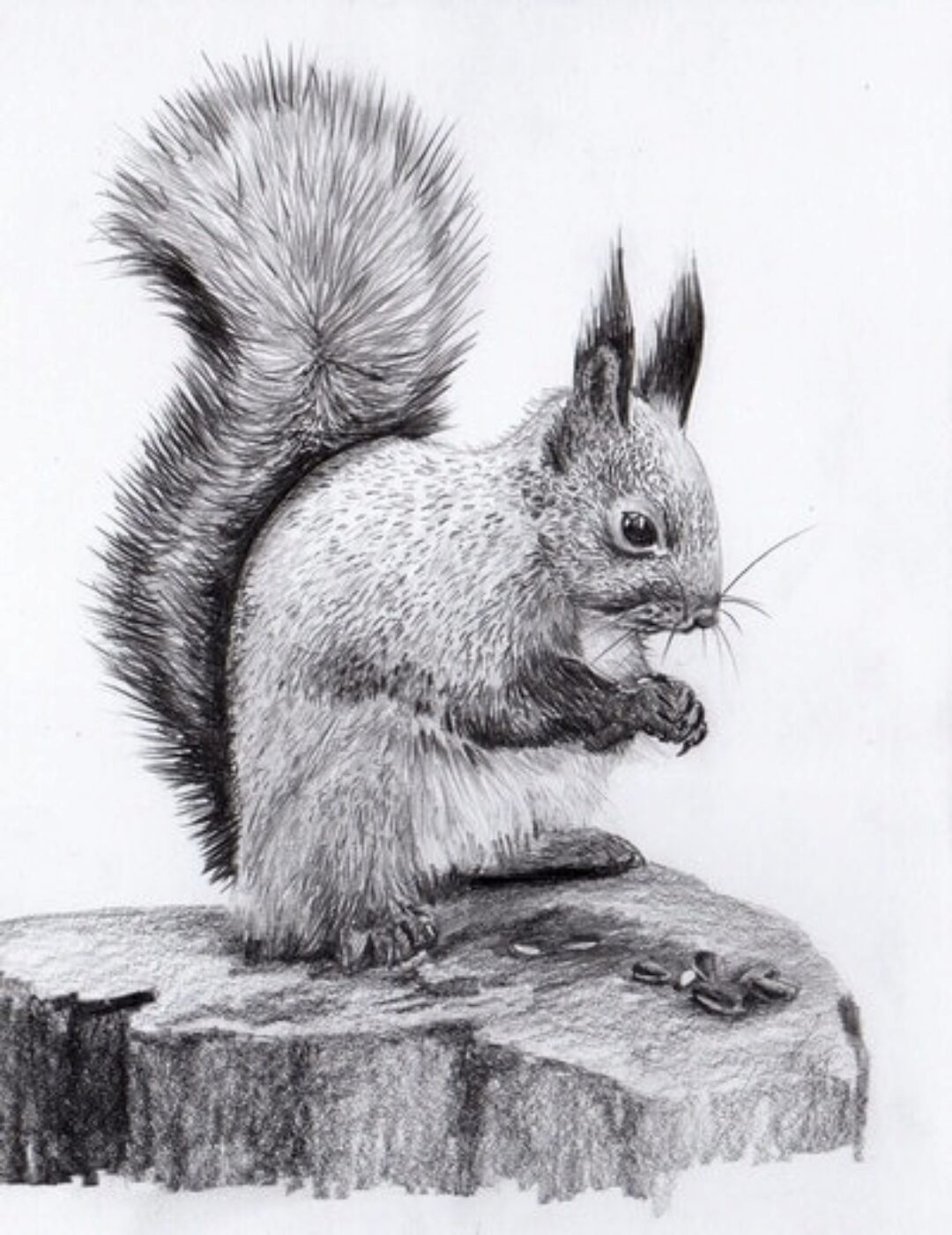 Уроки рисования карандашом (Юрий Синчуков)