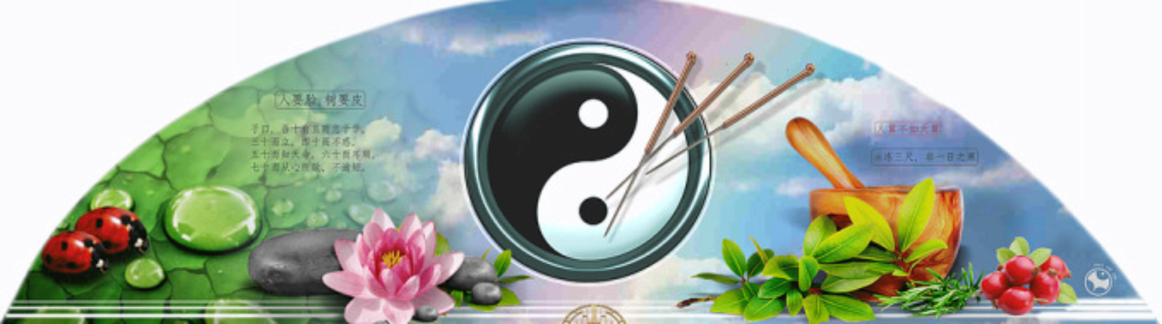 Иммунитет. Восточные методы его укрепления и восстановления (Сергей Косинцев)