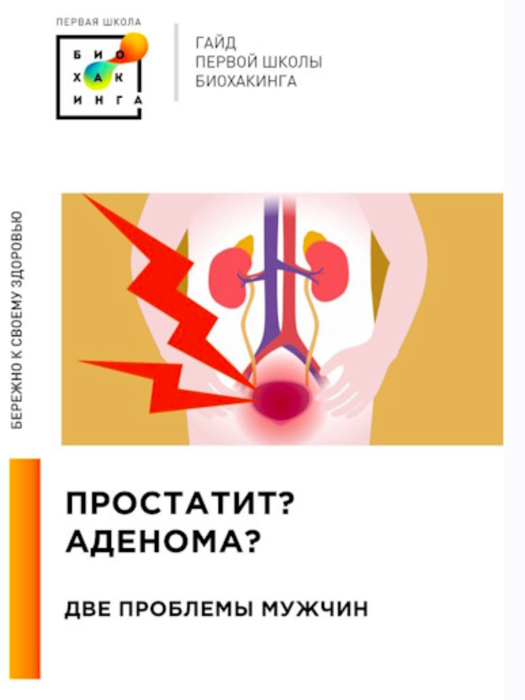 [Первая школа биохакинга] Гайд Простатит и аденома  (Ирина Баранова, Татьяна Смольянинова)
