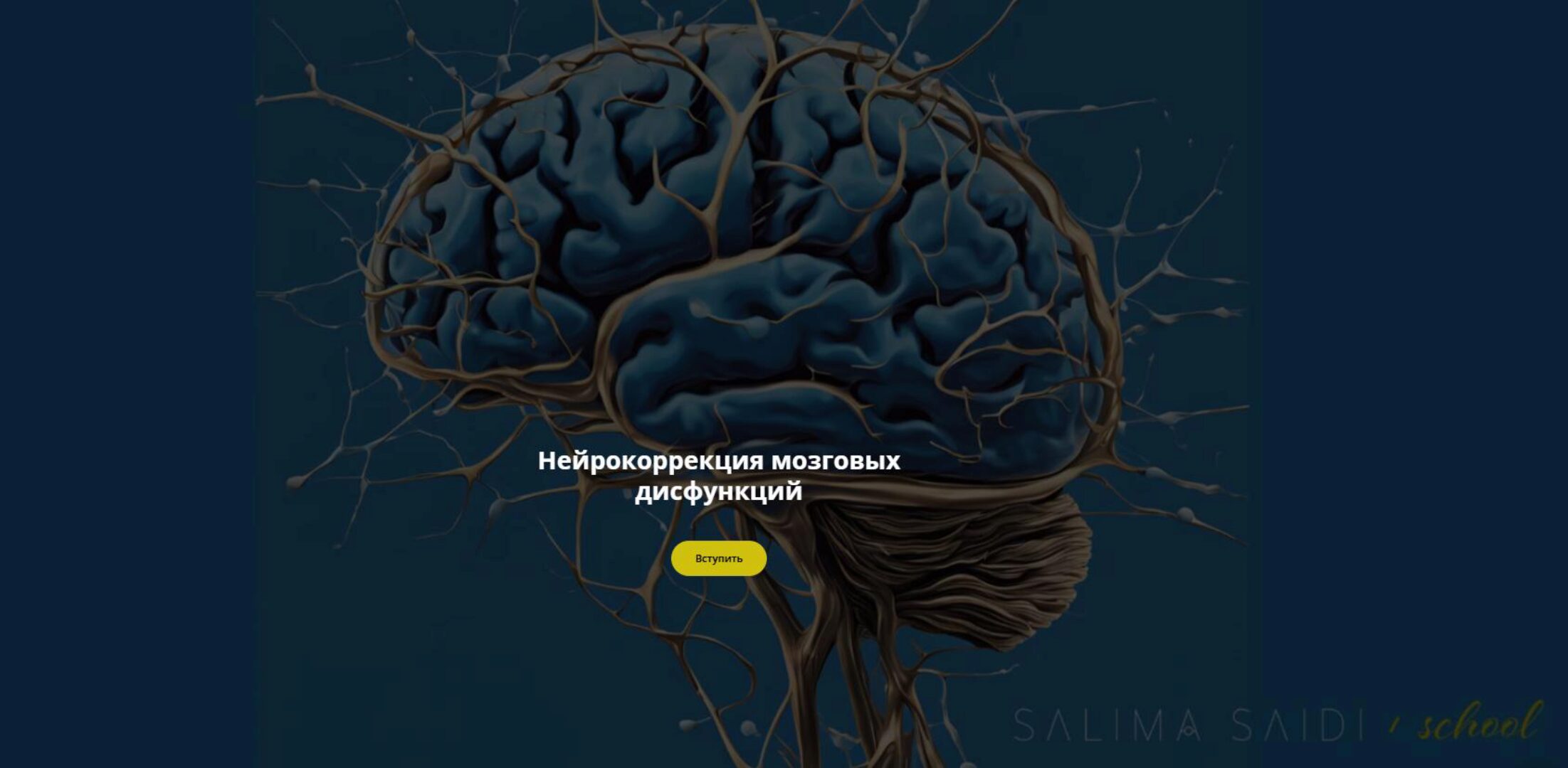 Нейрокоррекция мозговых дисфункций (Салима Саиди)