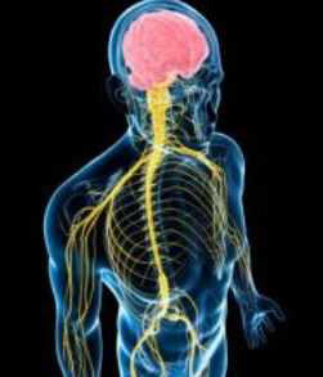 Исцеление Нервной системы (Юджиния Квант)