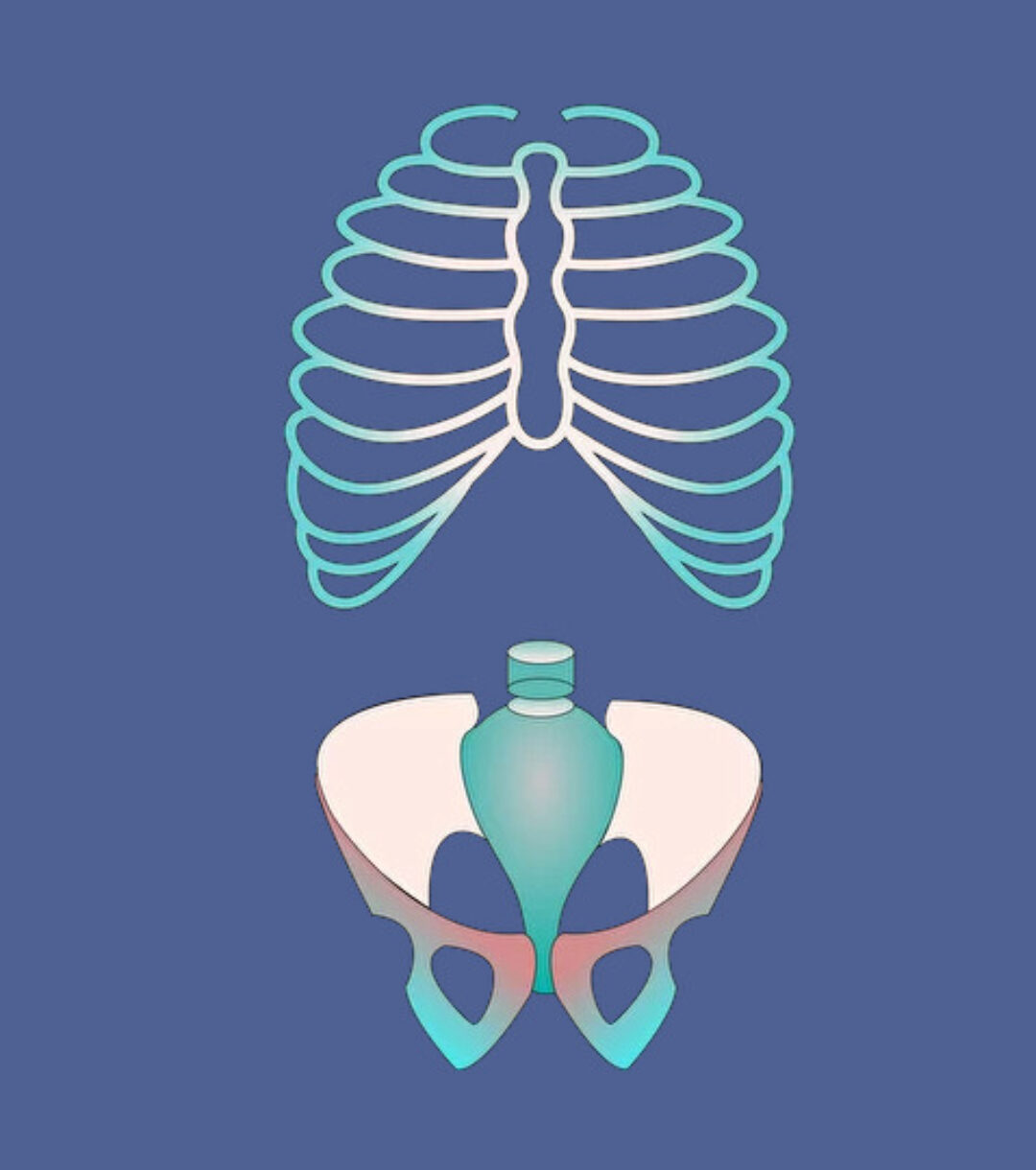 [МГХПА] Позвоночник. Грудная клетка. Таз (Александр Рыжкин)