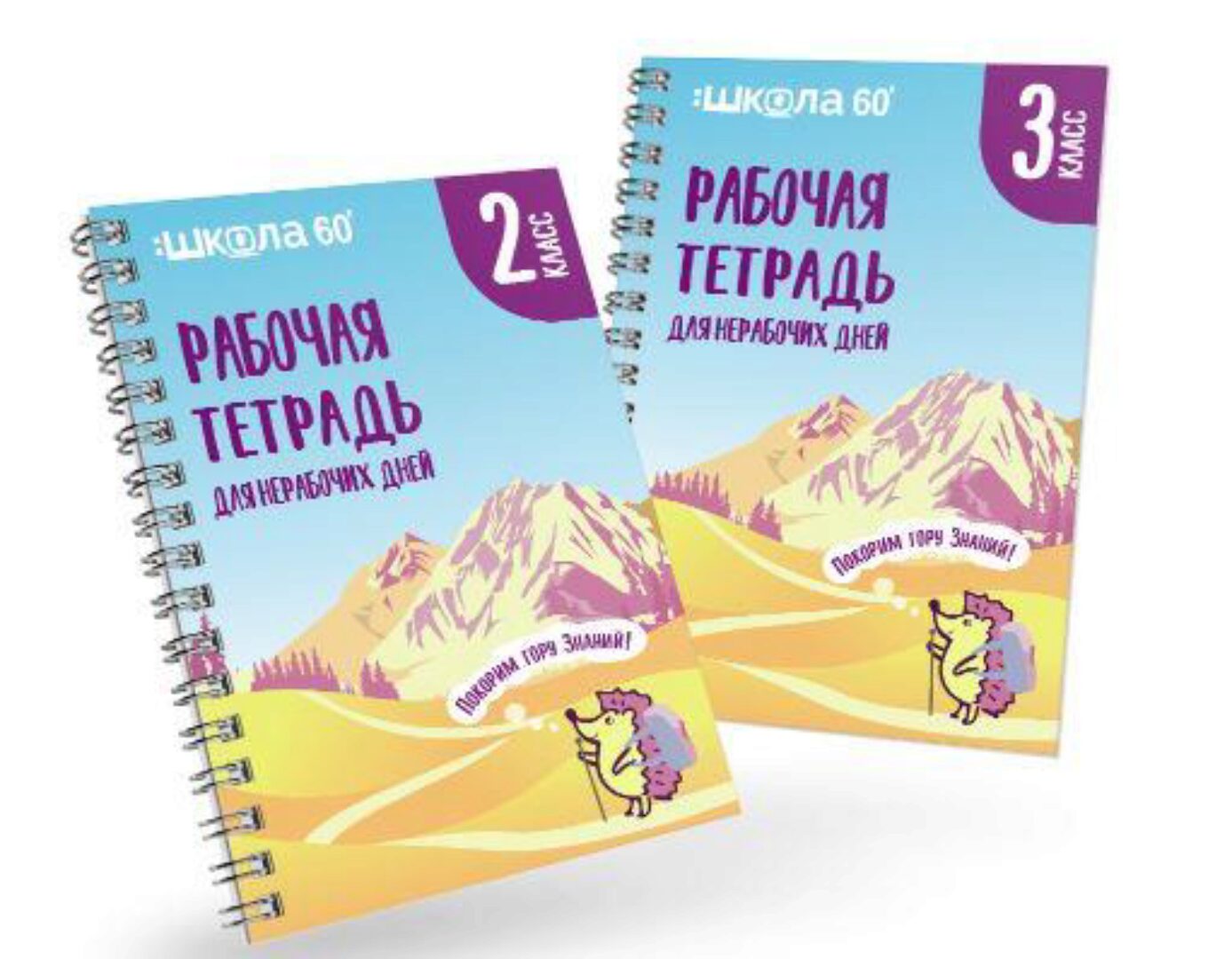 Занимательная рабочая тетрадь для нерабочих дней 2 и 3 класс (Рената Кирилина)