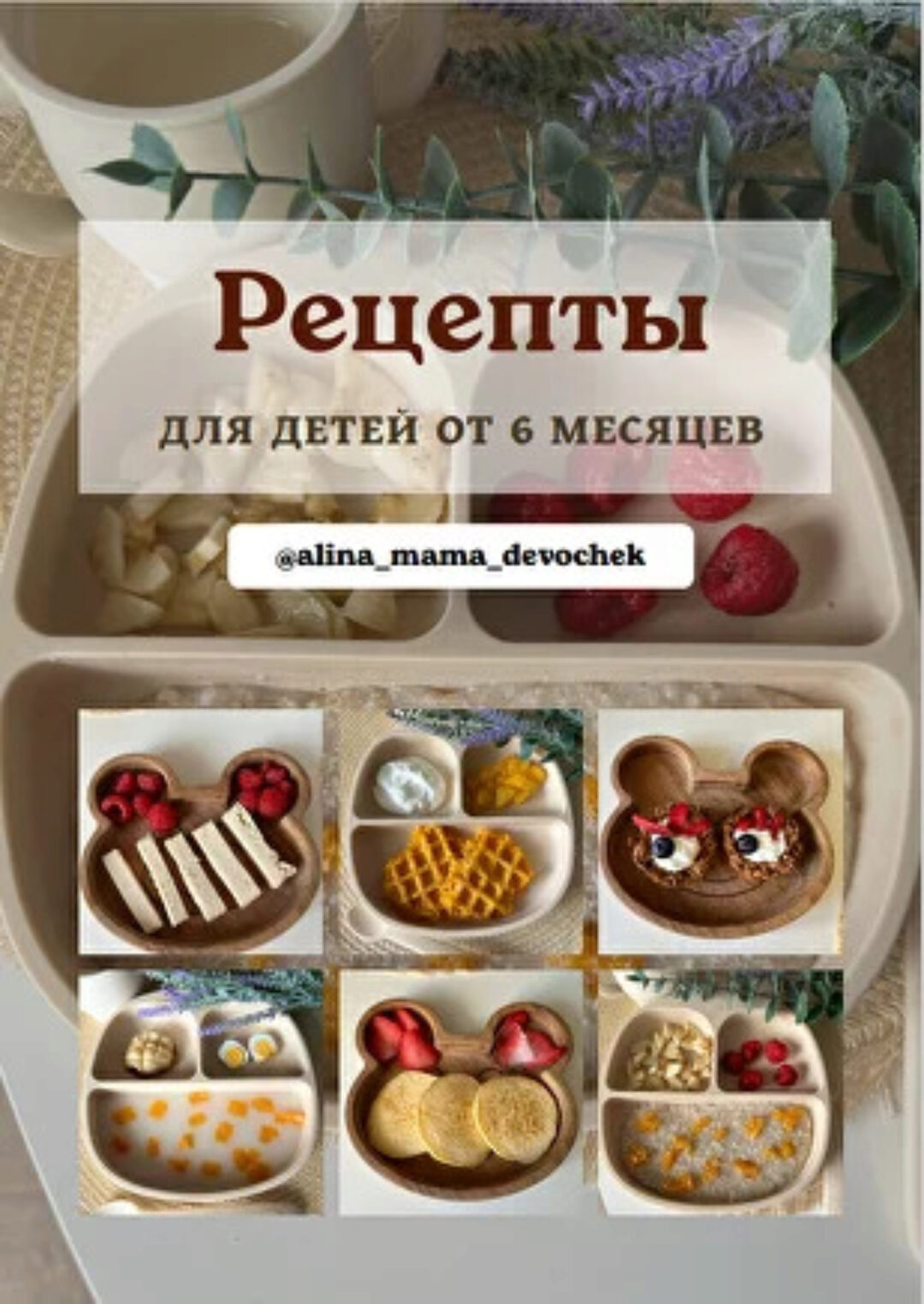Рецепты для детей от 6 месяцев (Алина Андреева)