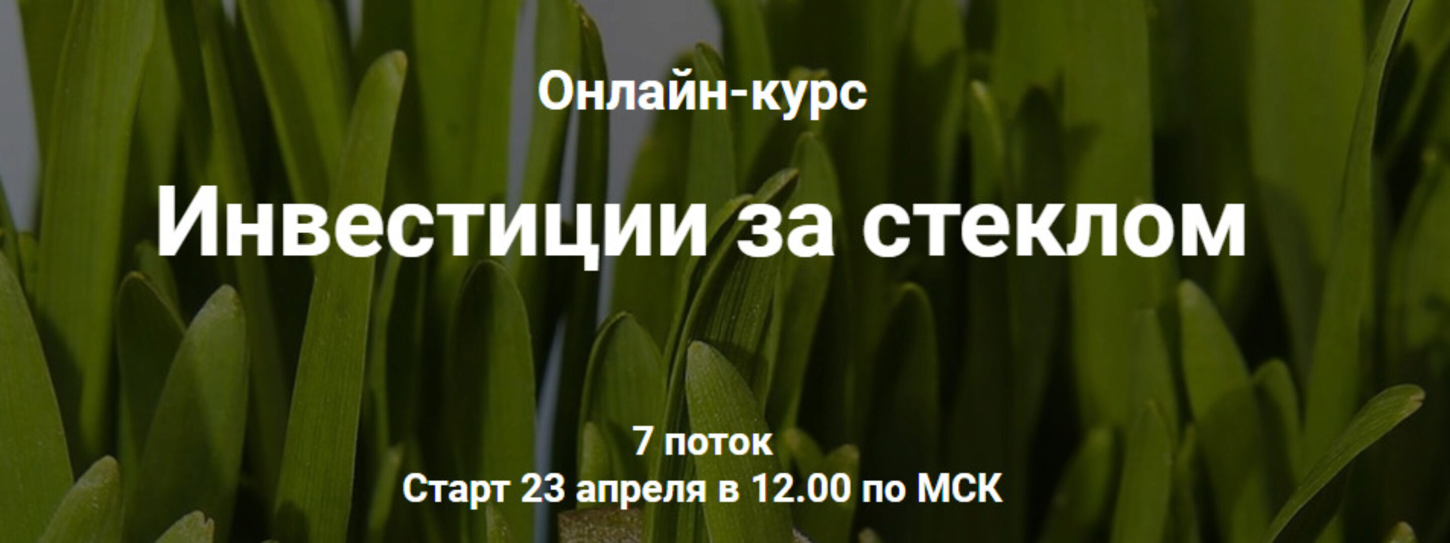 Инвестиции за стеклом. Тариф - С обратной связью (Ольга Сабитова)