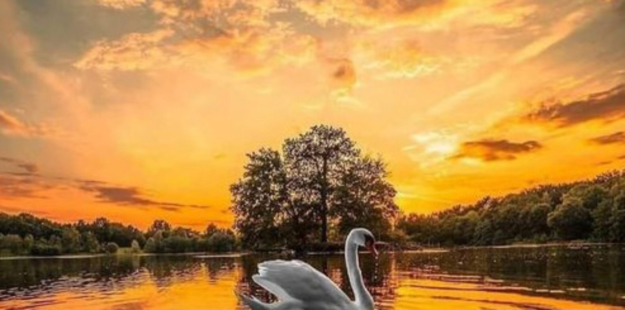 [Джйотиш-клуб] Мистика дробных карт Д 27 (Винод Пракаш Гоел)